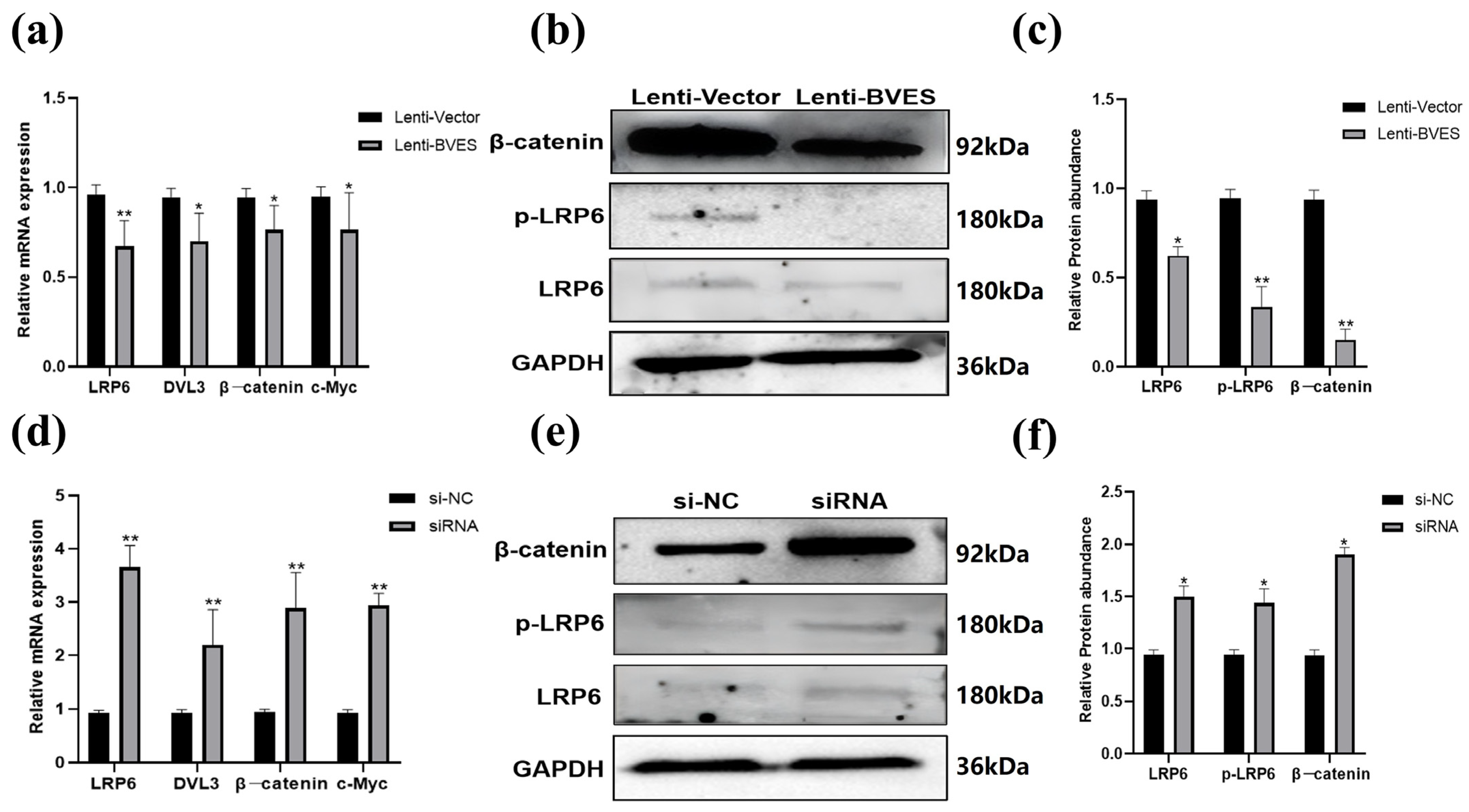 Biology 14 01210 g005 Biology 14 01210 g005
