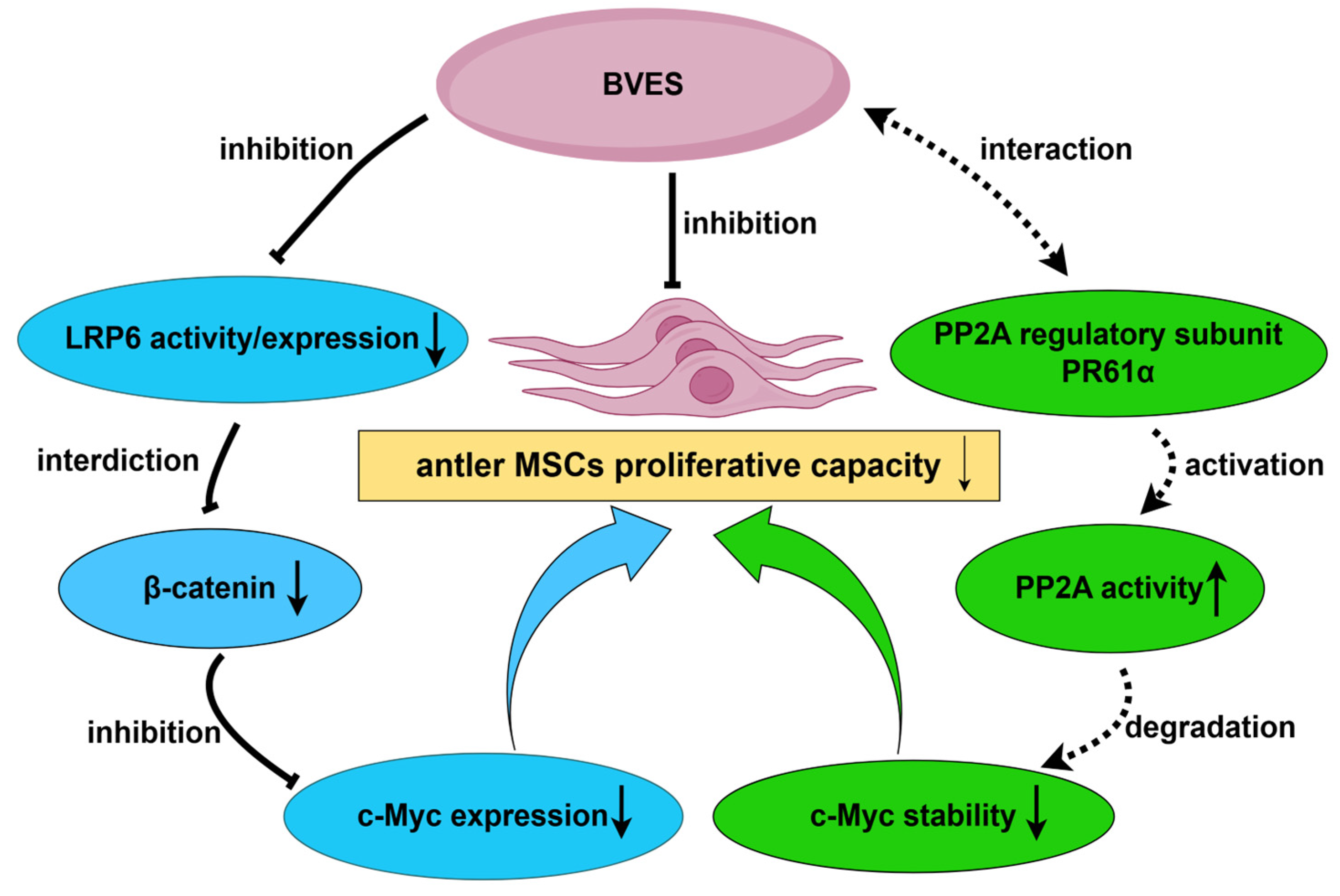 Biology 14 01210 g006 Biology 14 01210 g006