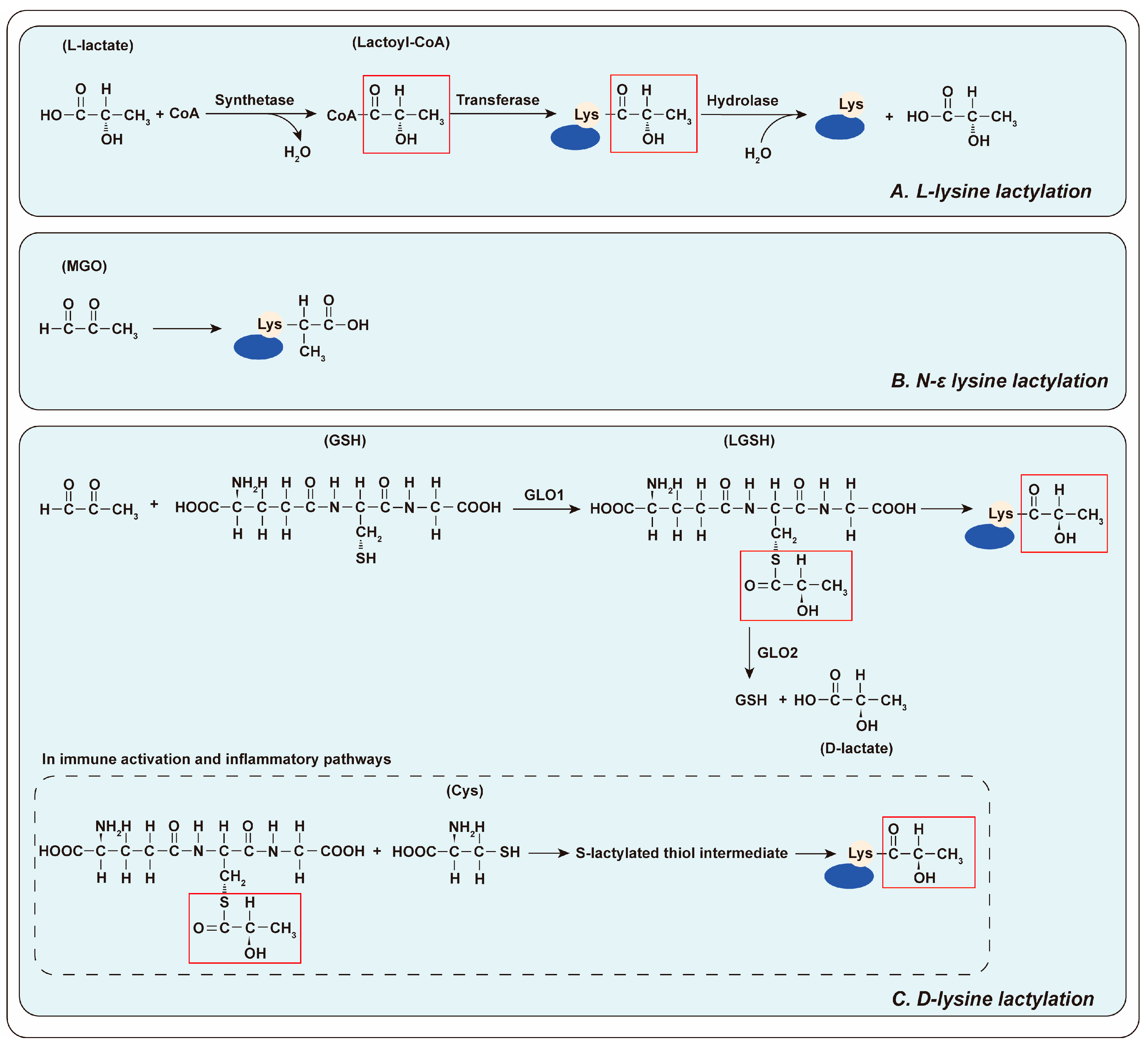 Biology 14 01213 g001
