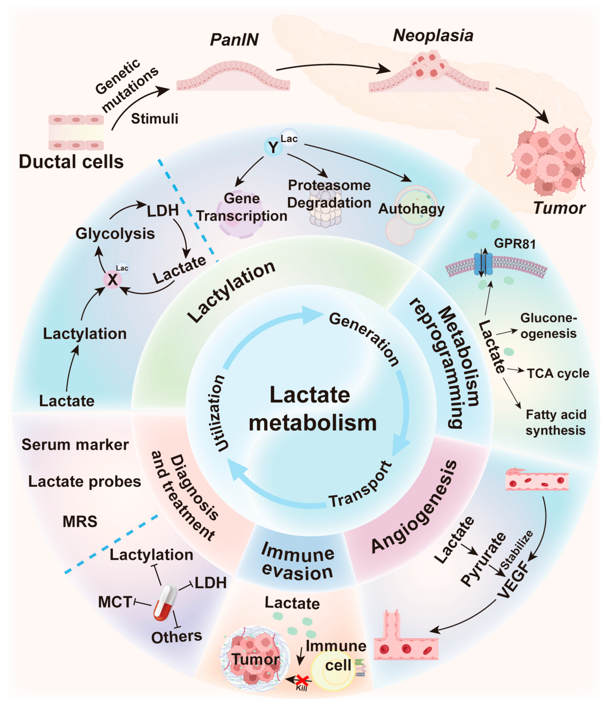 Biology 14 01213 g005
