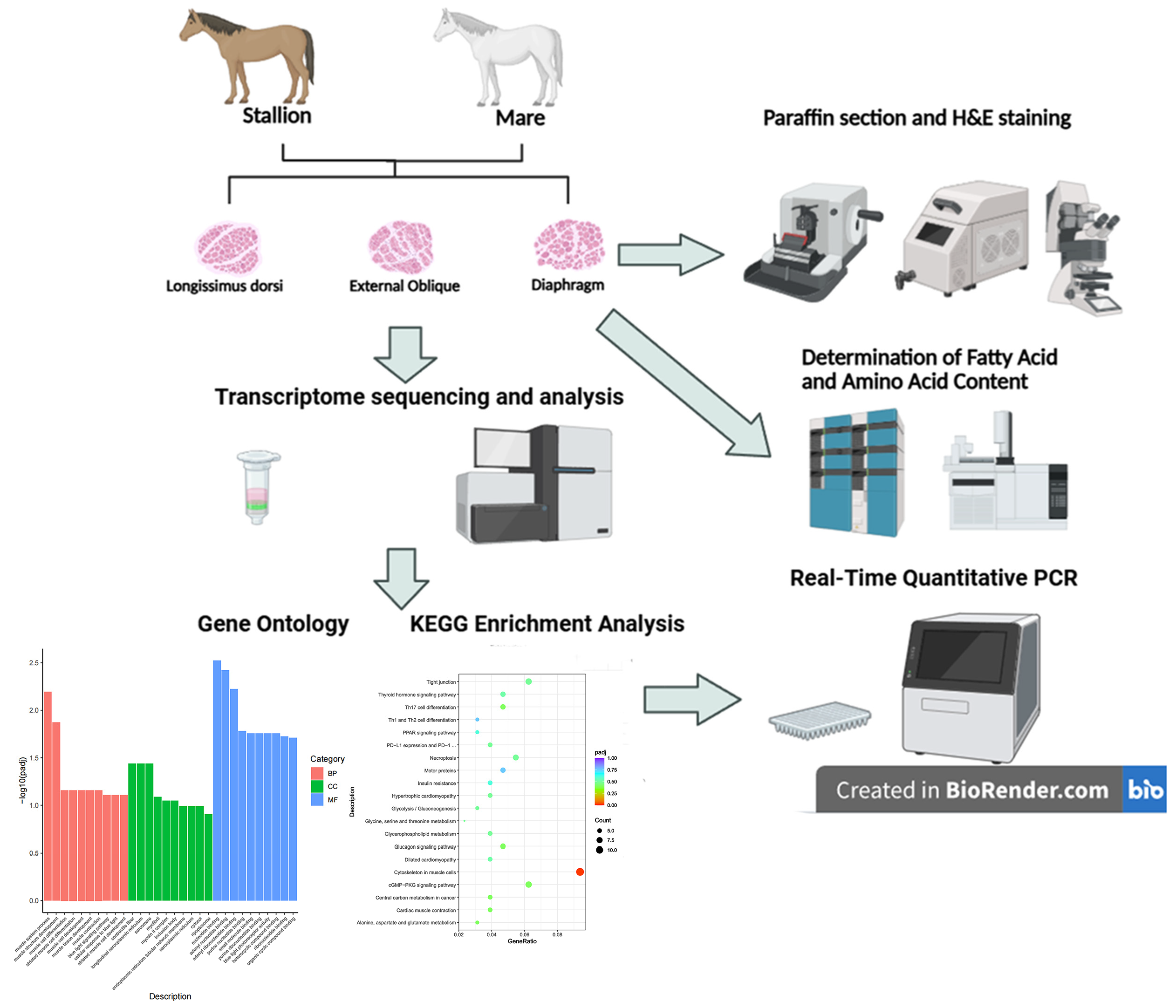 Biology 14 01216 g001