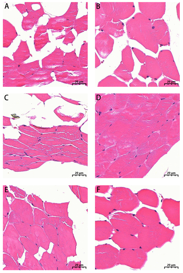 Biology 14 01216 g002