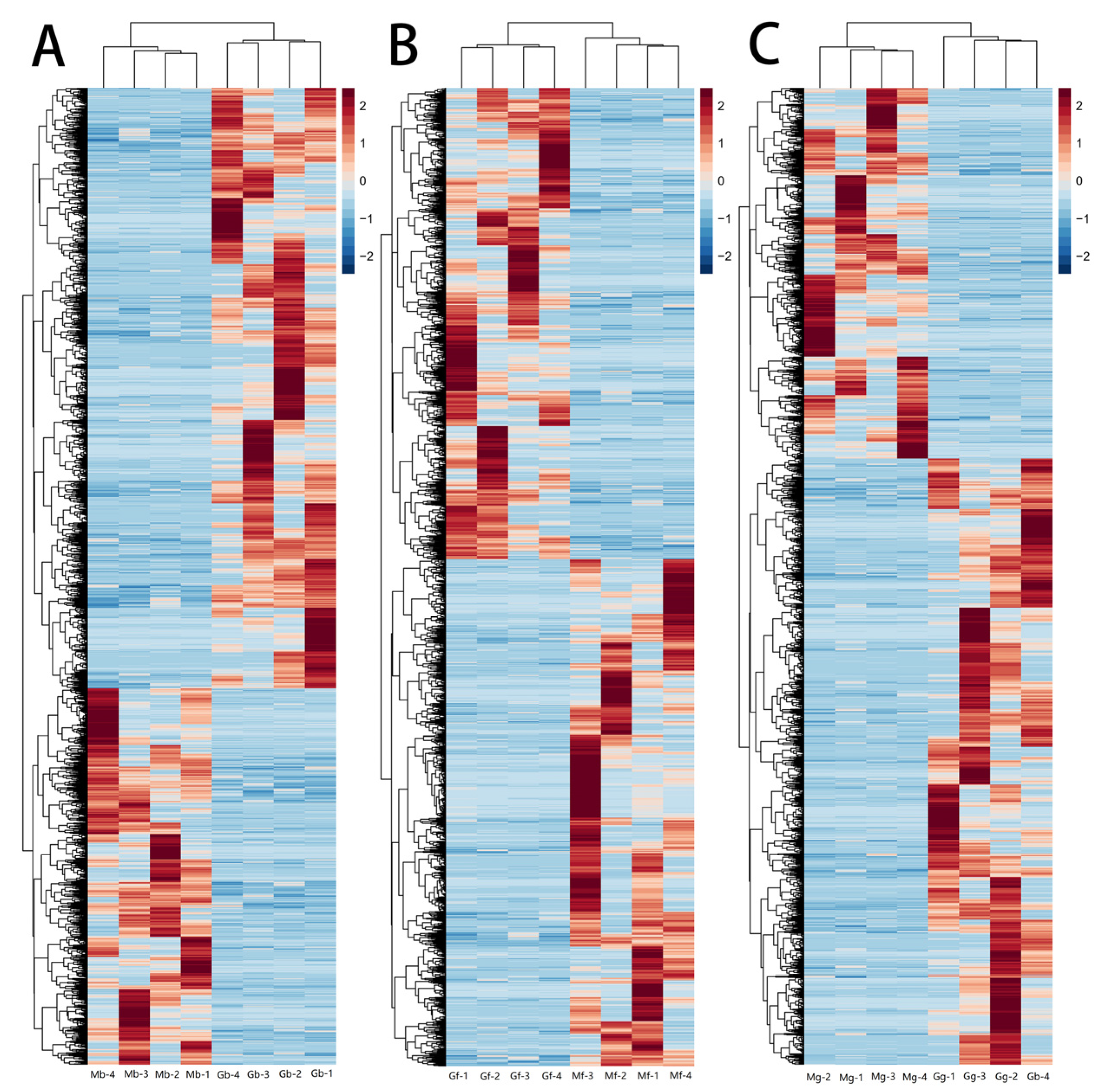 Biology 14 01216 g006