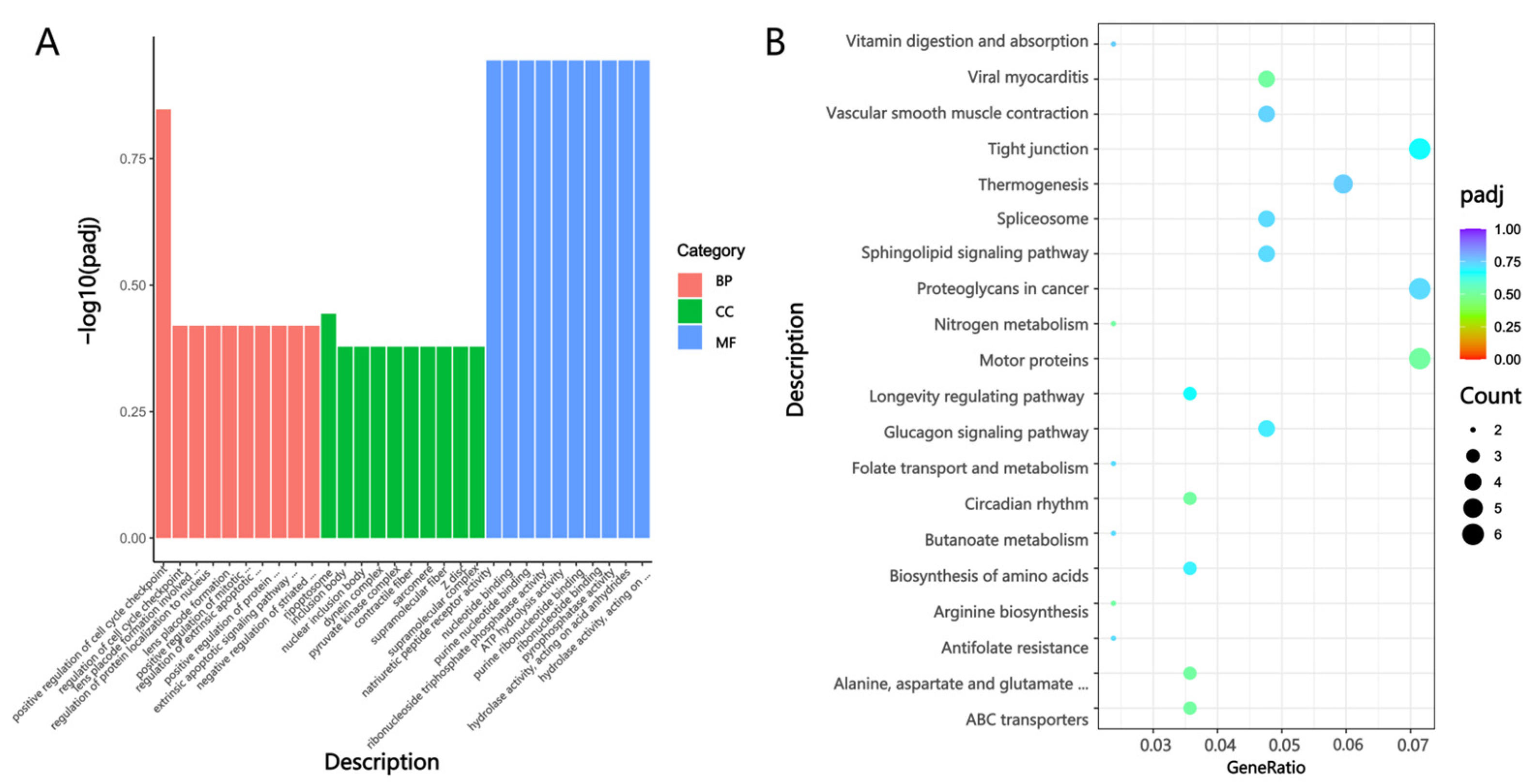 Biology 14 01216 g008