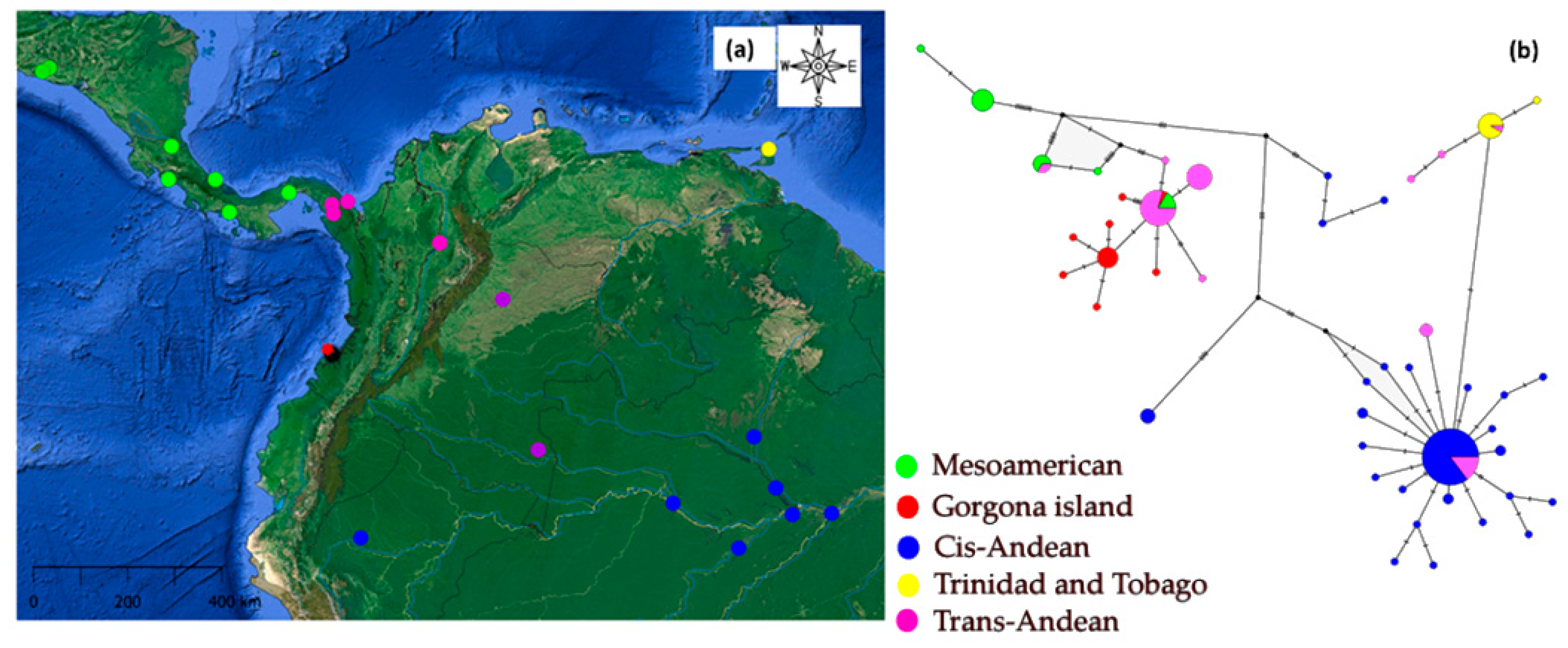 Biology 14 01227 g001 Biology 14 01227 g001
