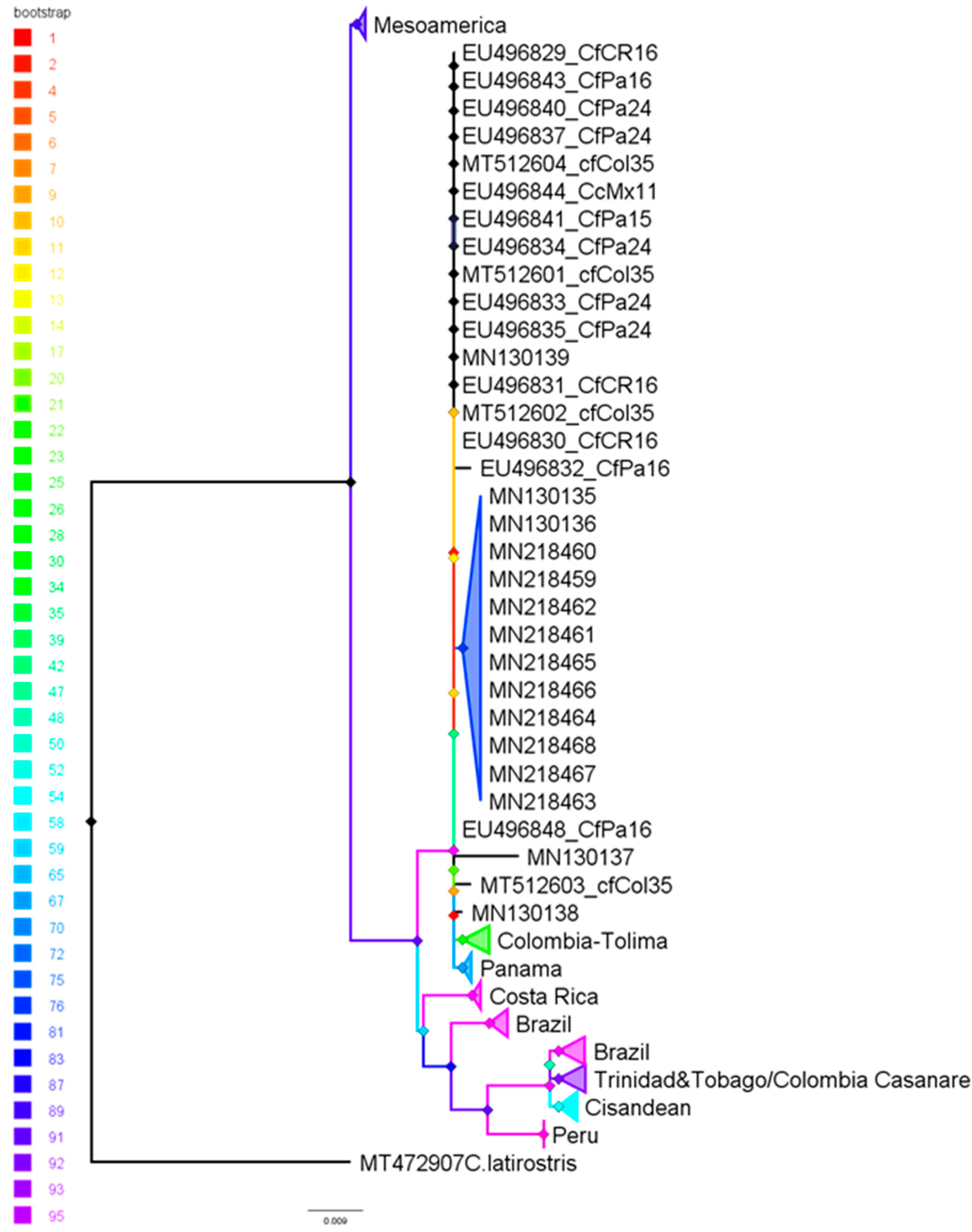 Biology 14 01227 g004 Biology 14 01227 g004