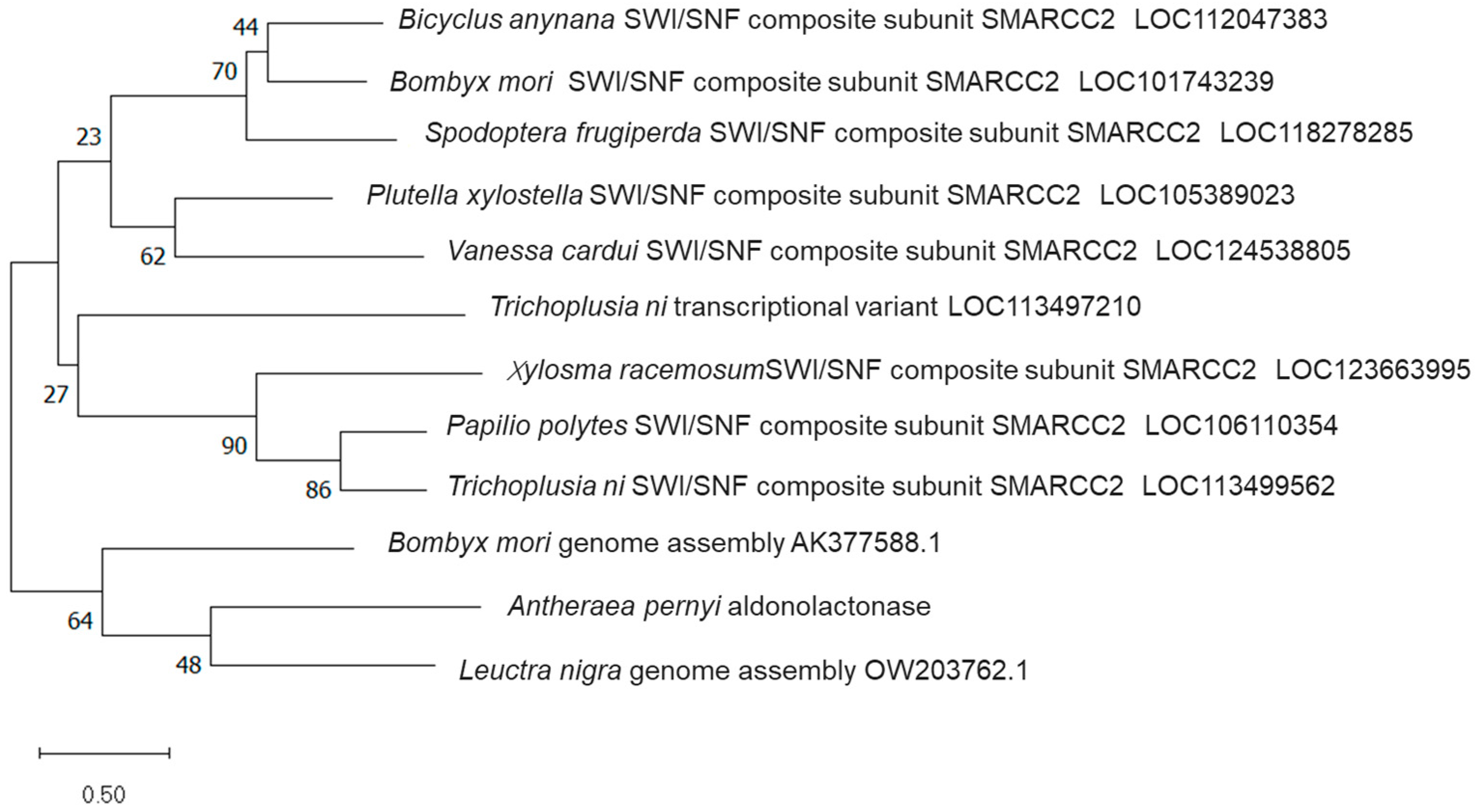 Biology 14 01236 g010 Biology 14 01236 g010
