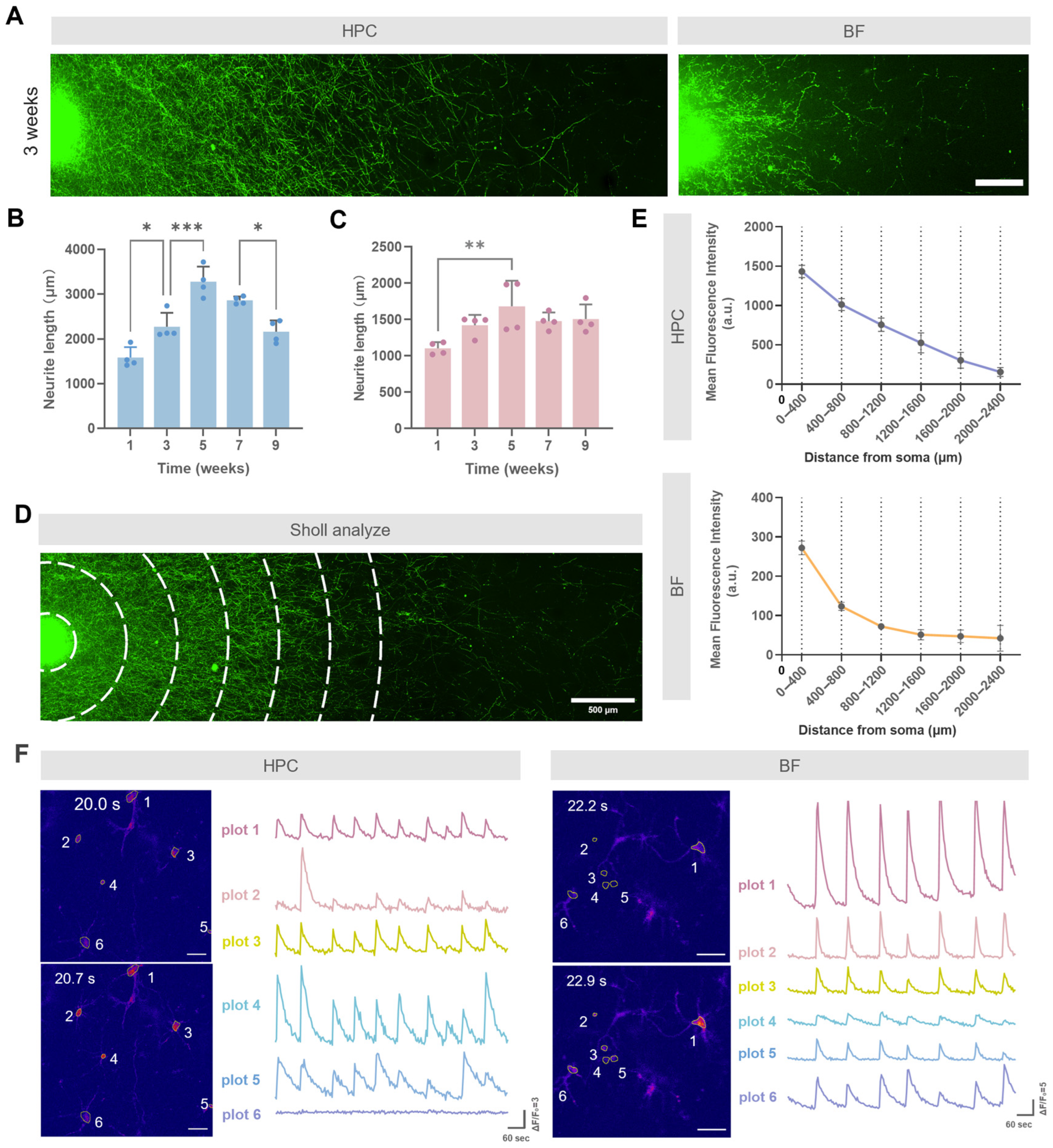 Biology 14 01238 g003 Biology 14 01238 g003