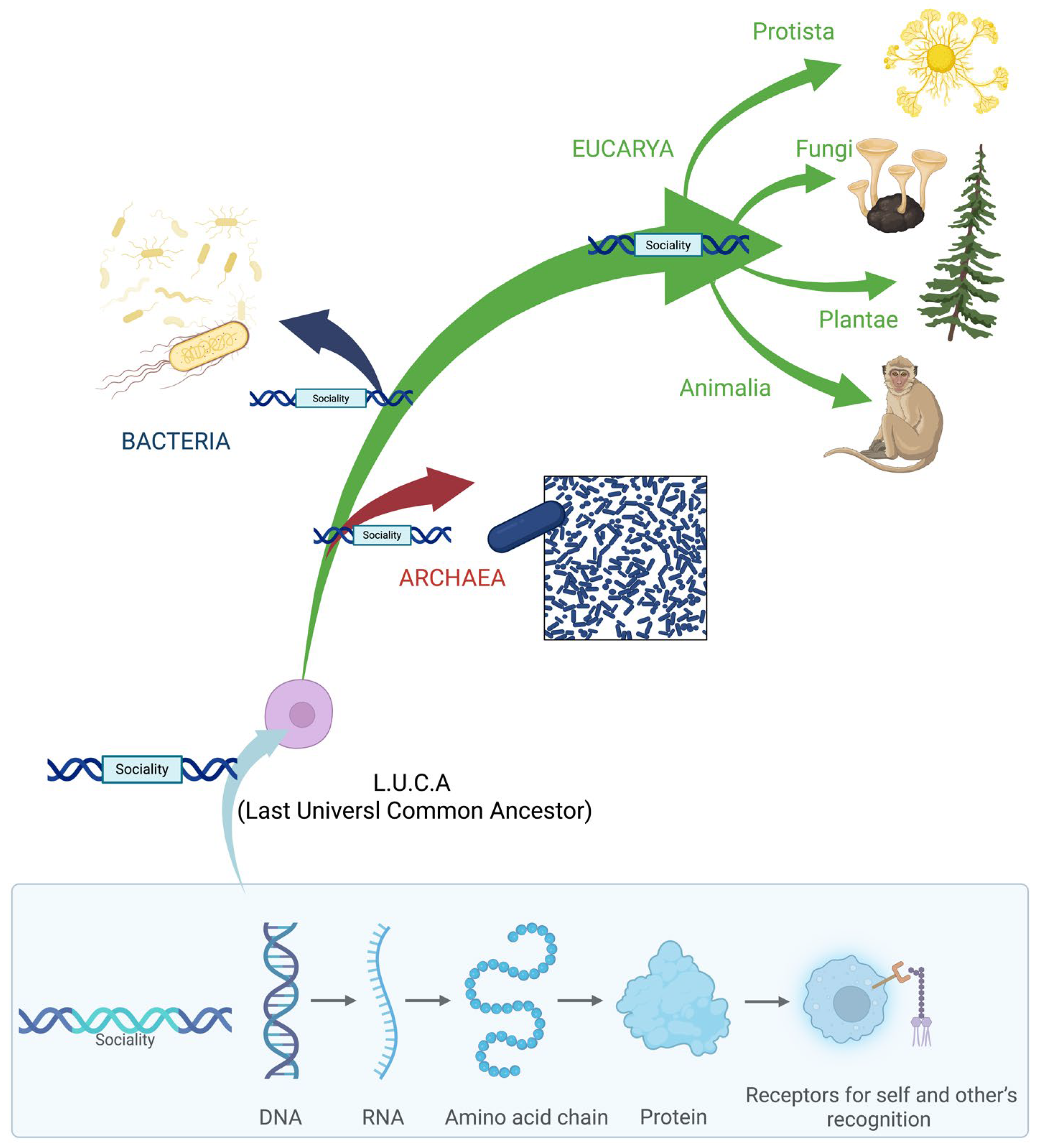 Biology 14 01239 g001 Biology 14 01239 g001