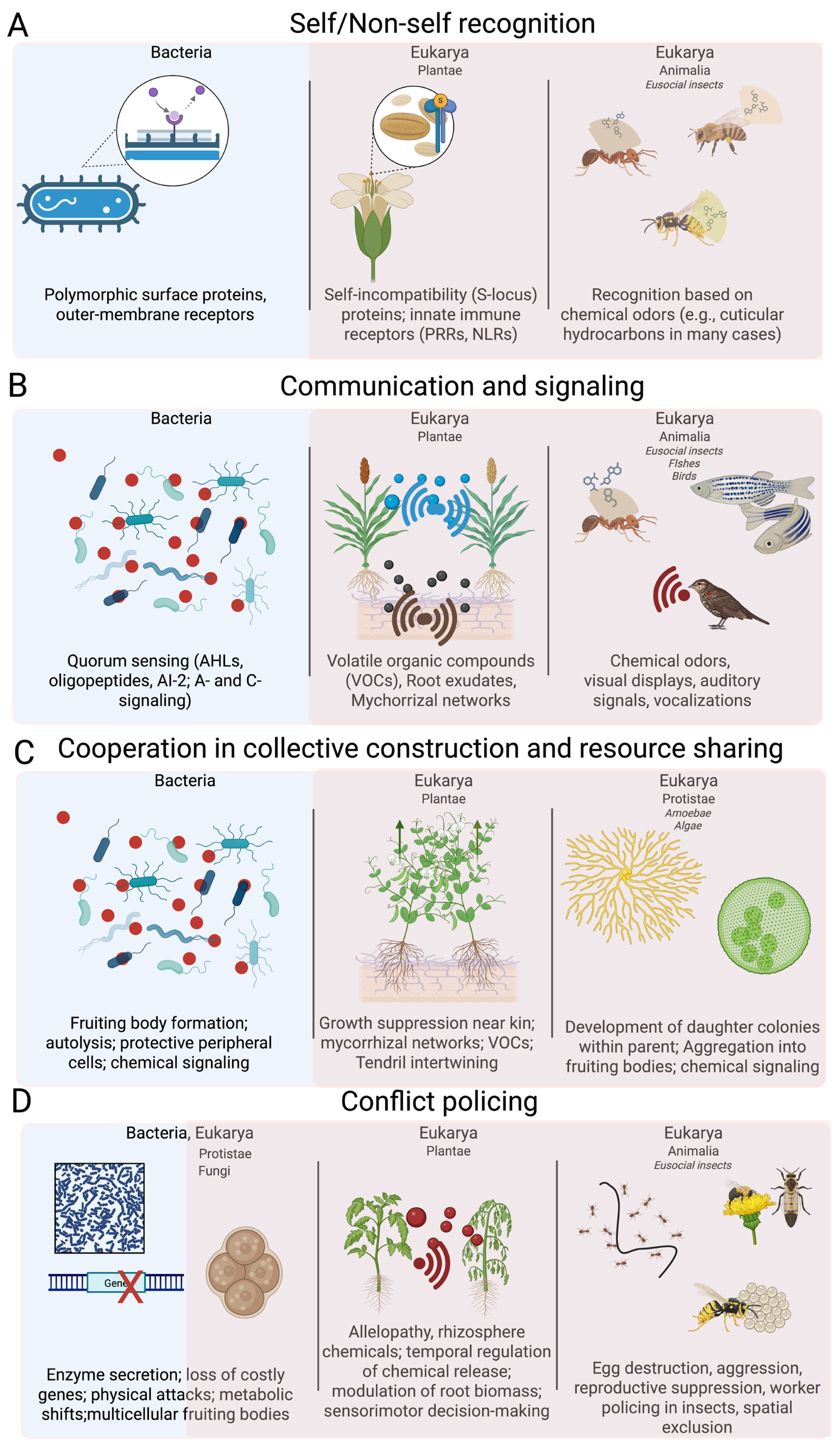 Biology 14 01239 g002 Biology 14 01239 g002