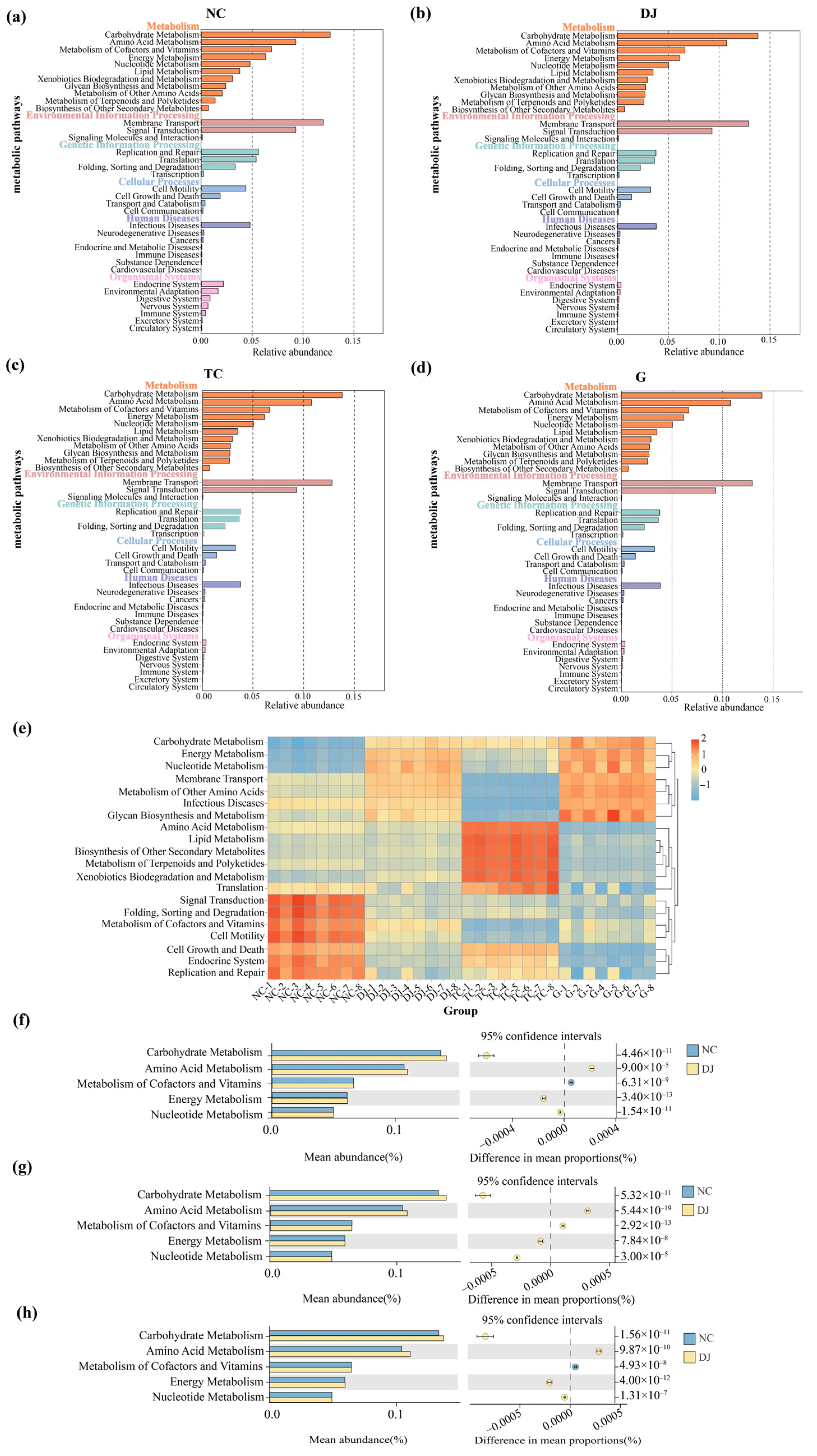 Biology 14 01246 g004 Biology 14 01246 g004