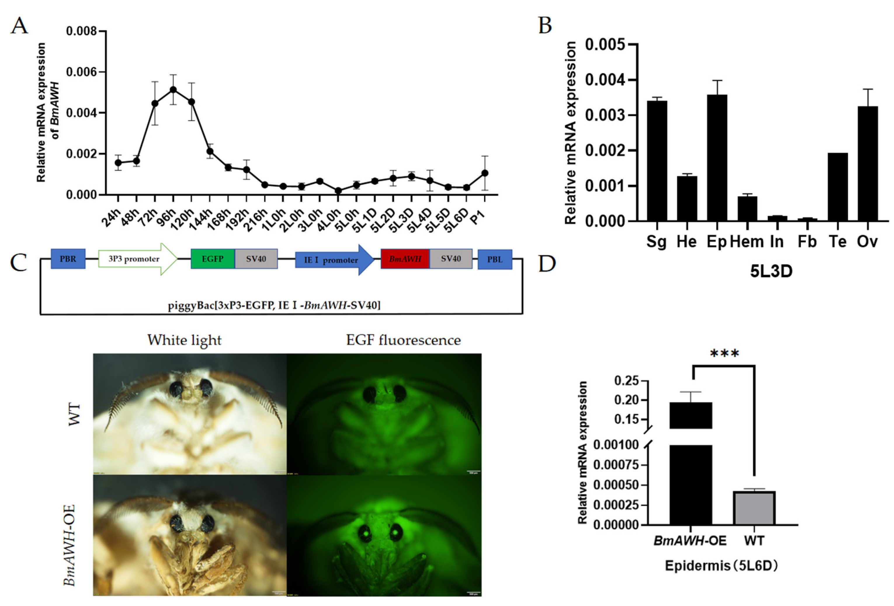 Biology 14 01248 g001 Biology 14 01248 g001