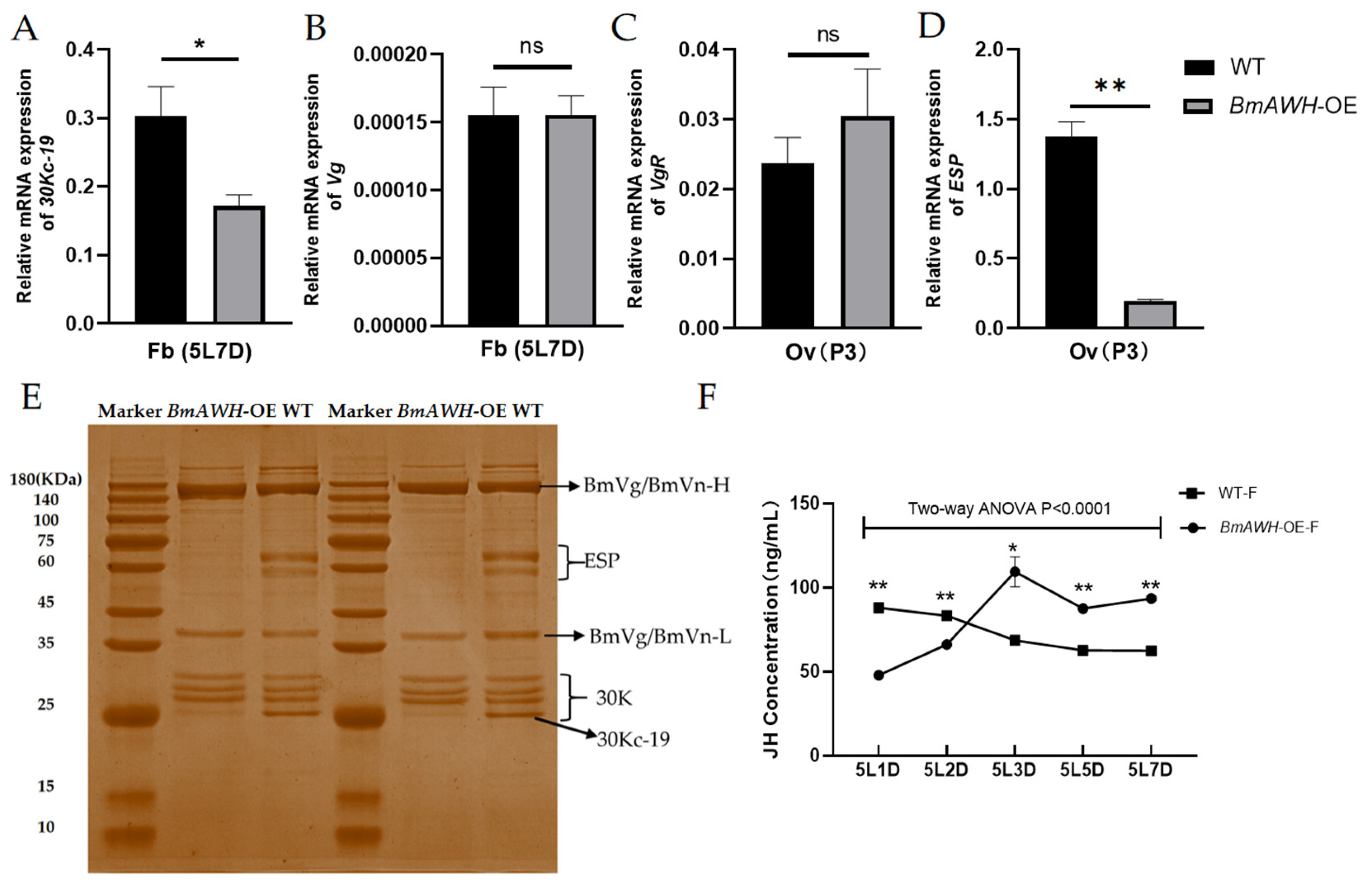 Biology 14 01248 g004 Biology 14 01248 g004