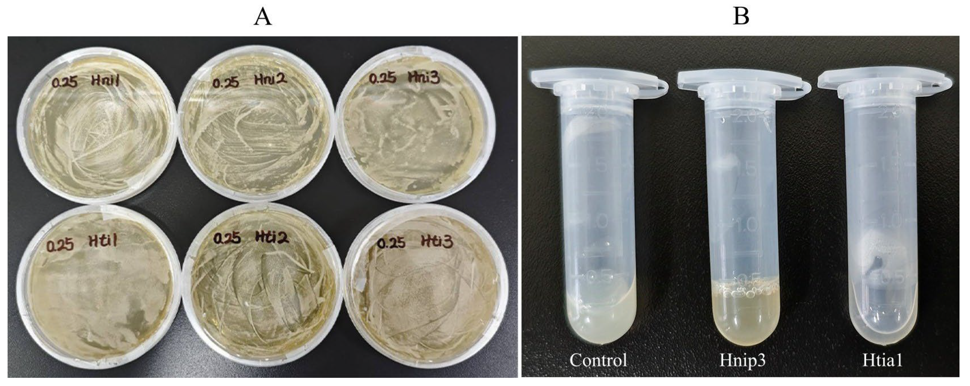 Biology 14 01250 g003