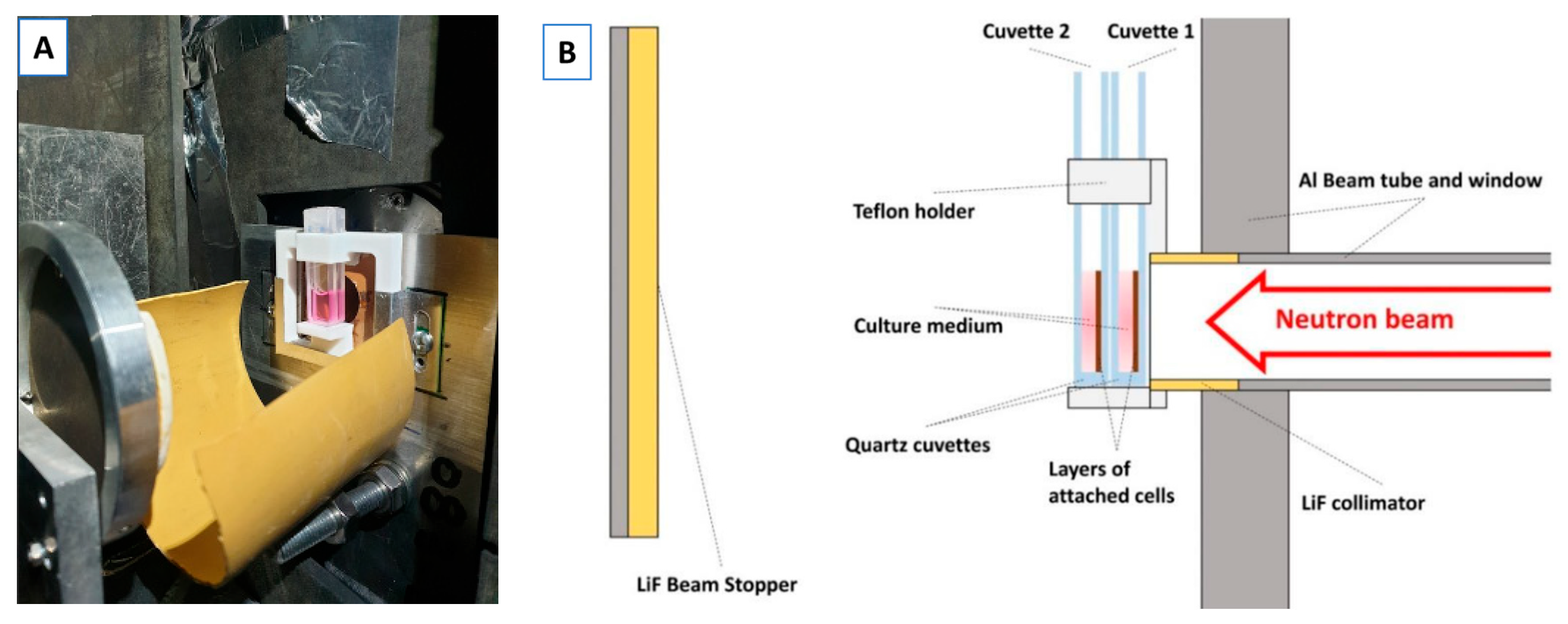 Biology 14 01252 g001 Biology 14 01252 g001