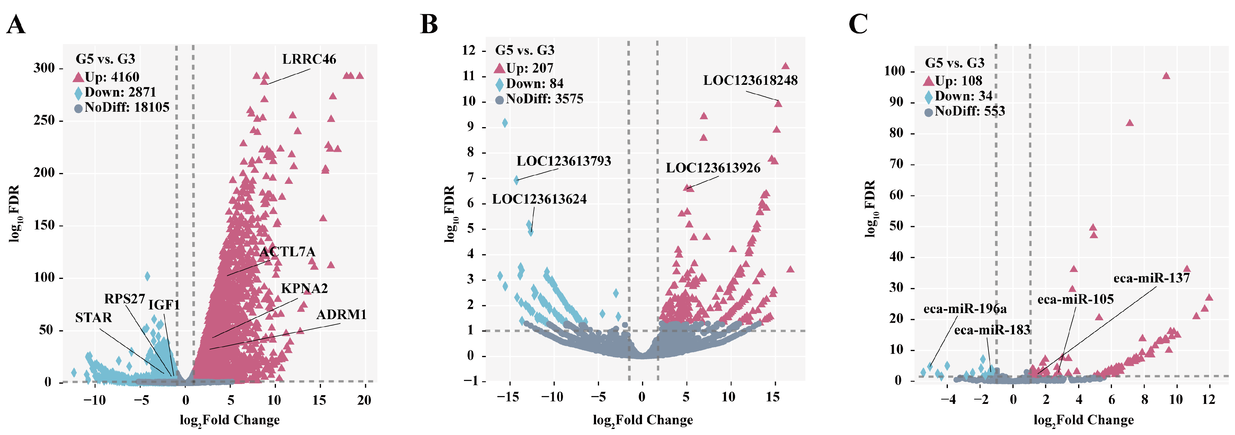 Biology 14 01254 g004 Biology 14 01254 g004
