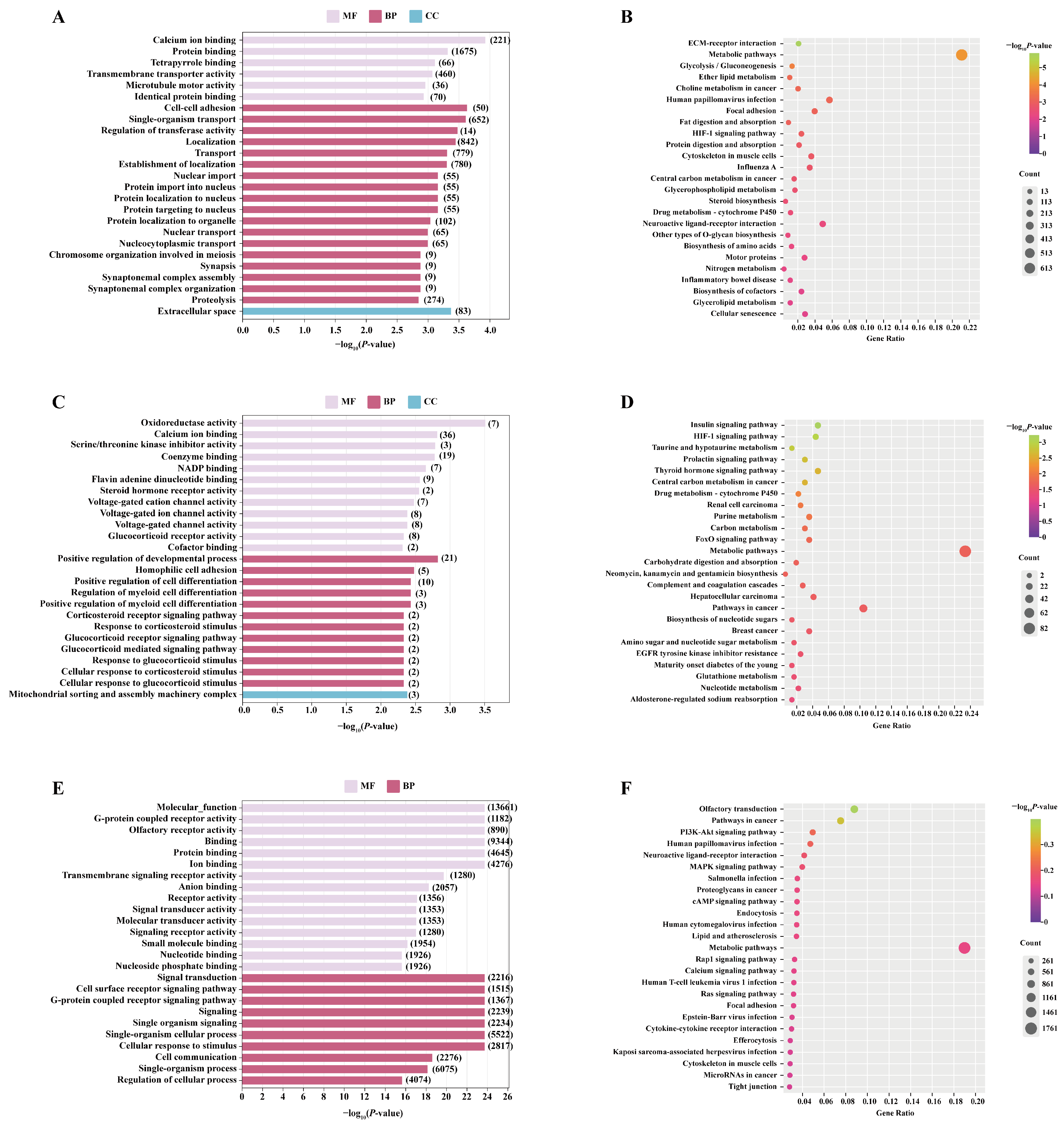 Biology 14 01254 g006 Biology 14 01254 g006