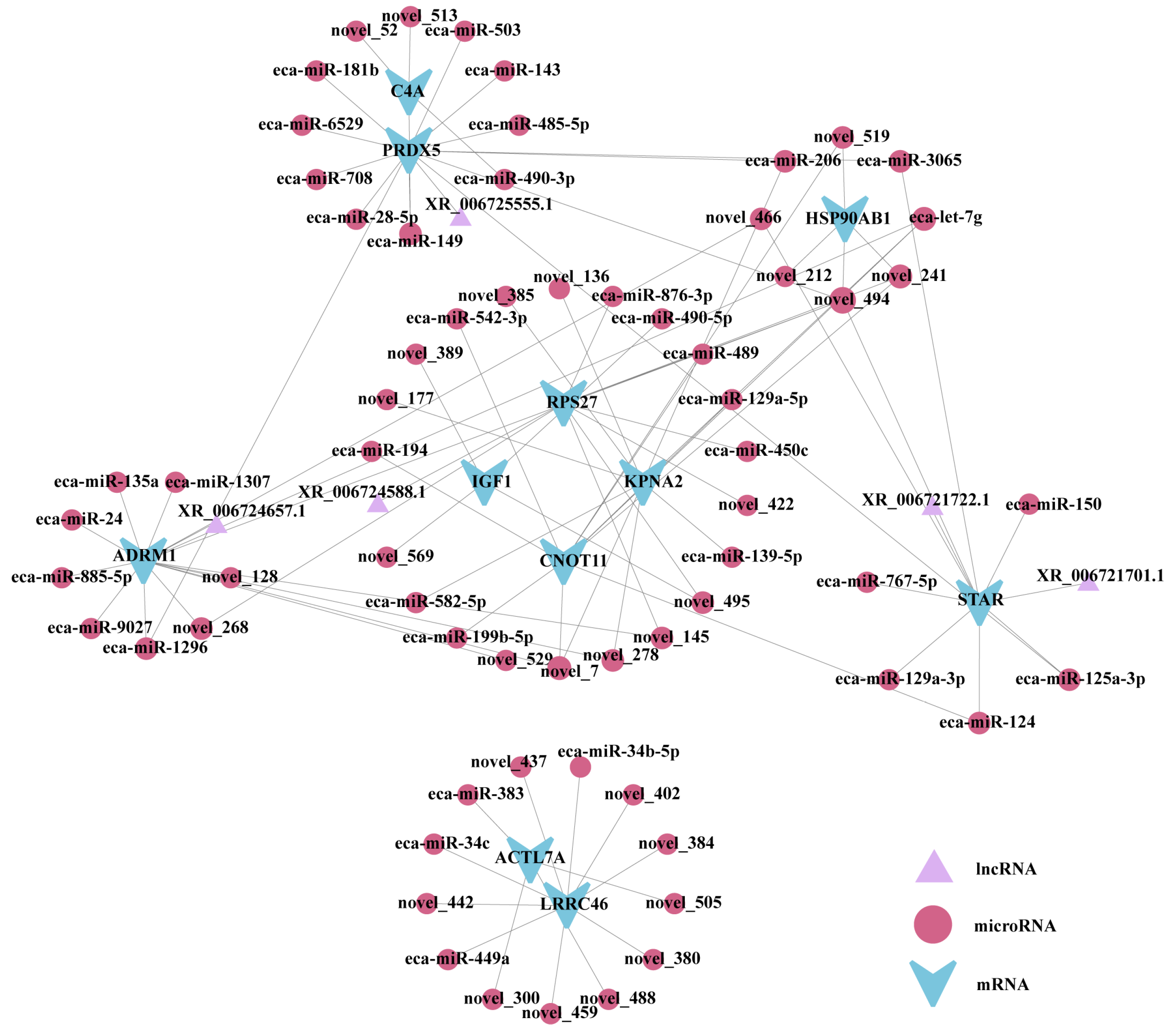 Biology 14 01254 g007 Biology 14 01254 g007