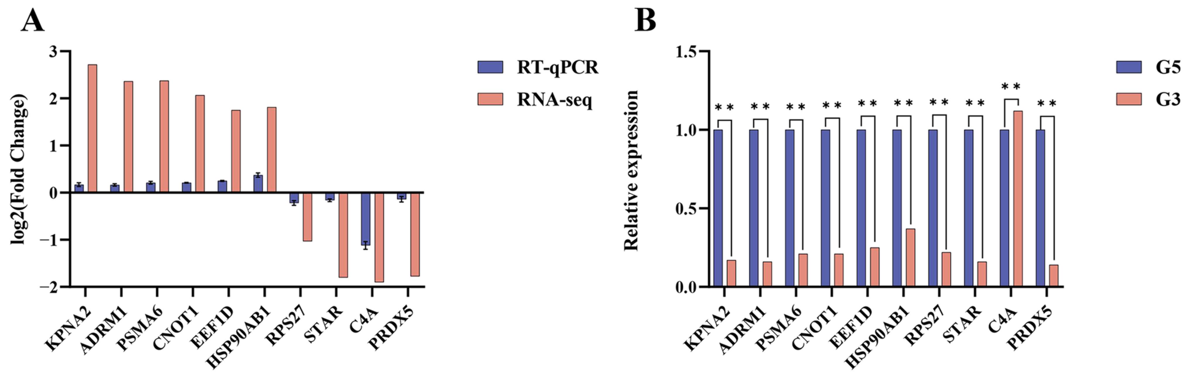Biology 14 01254 g008 Biology 14 01254 g008