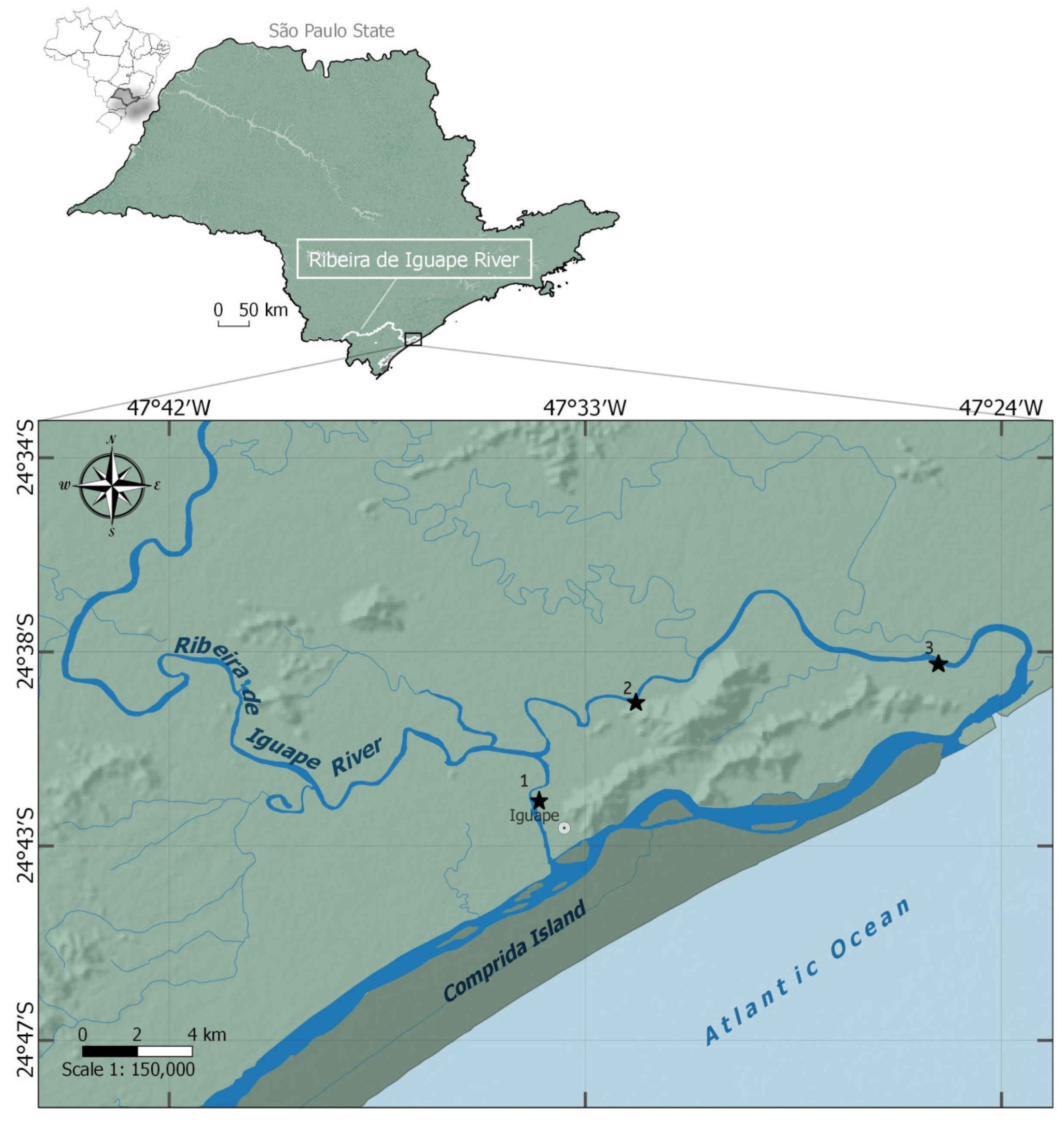 Biology 14 01255 g001