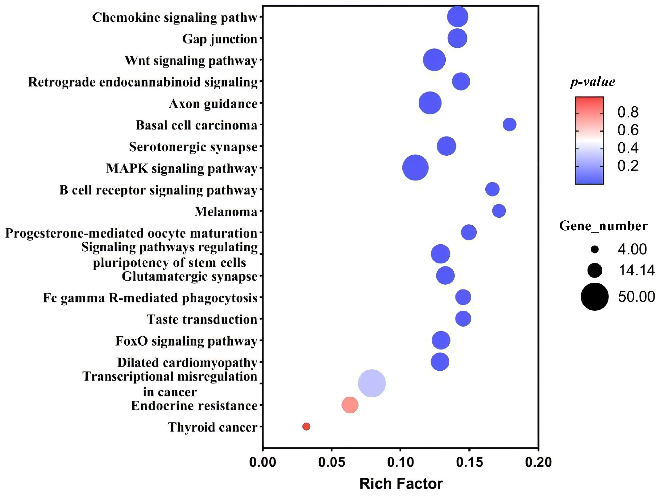 Biology 14 01259 g008