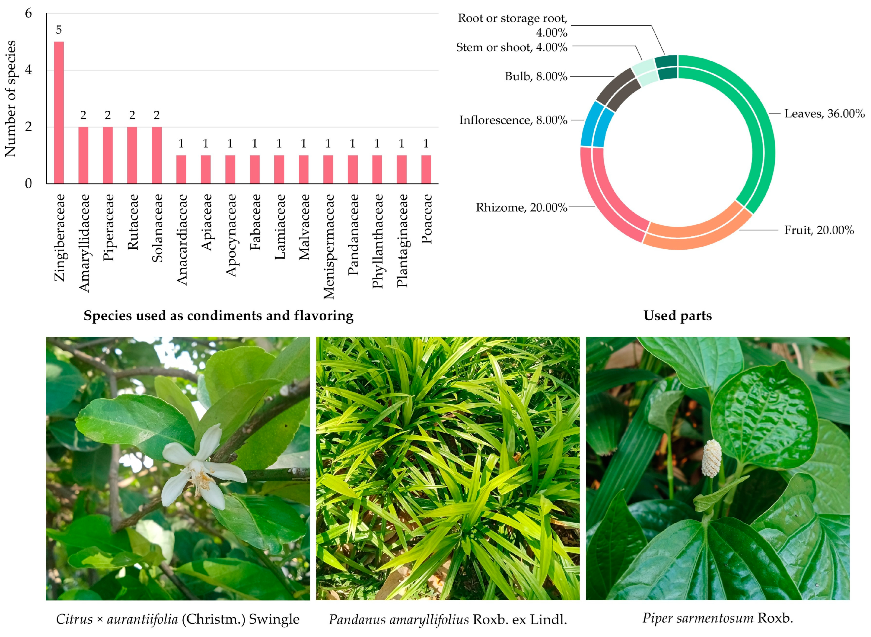 Biology 14 01264 g004