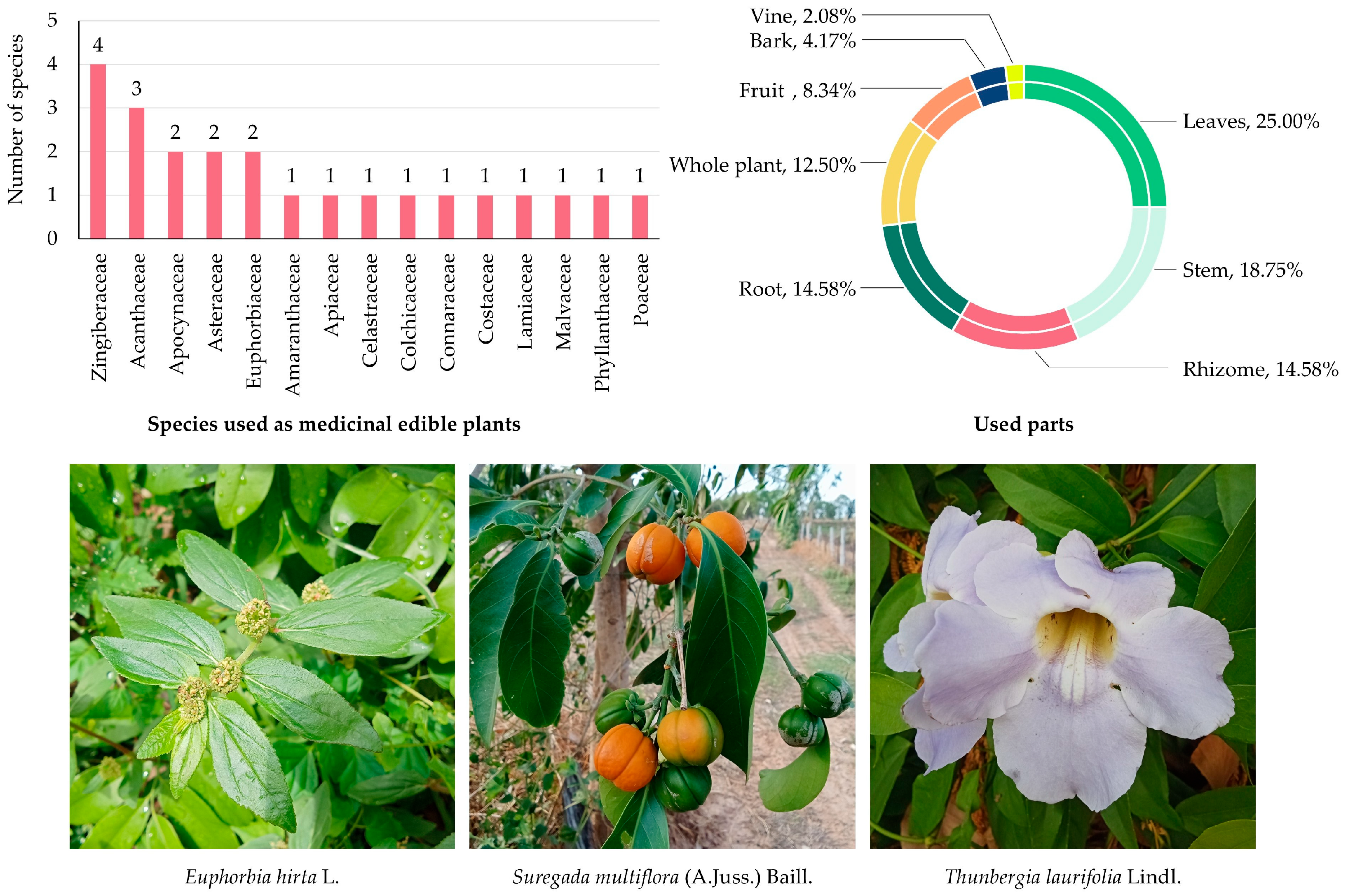 Biology 14 01264 g007