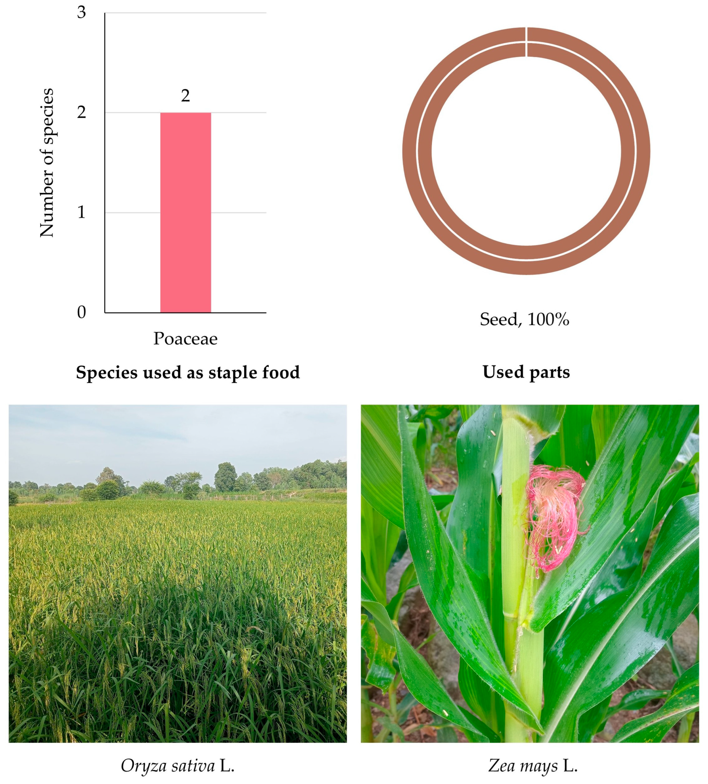 Biology 14 01264 g008