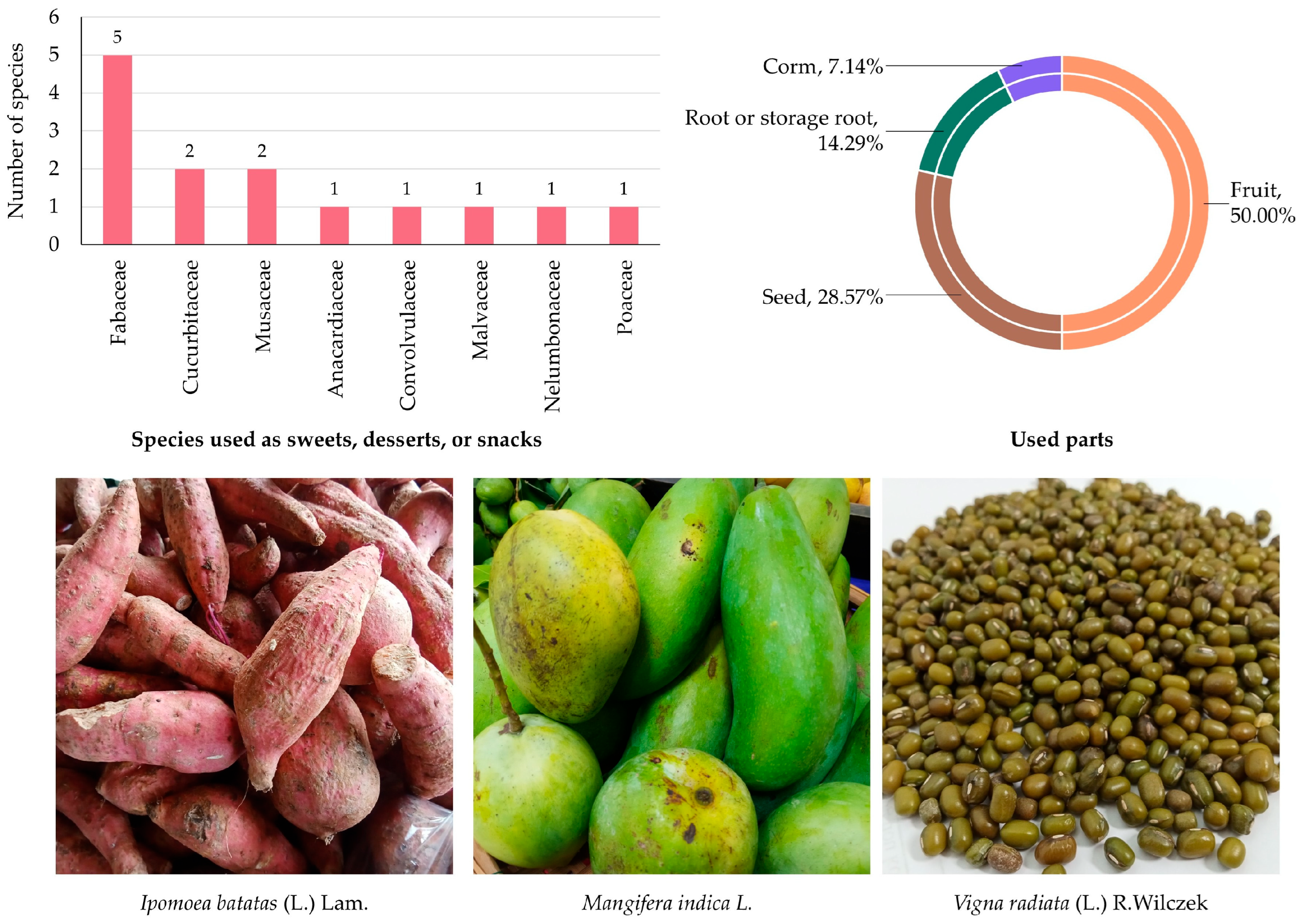 Biology 14 01264 g009