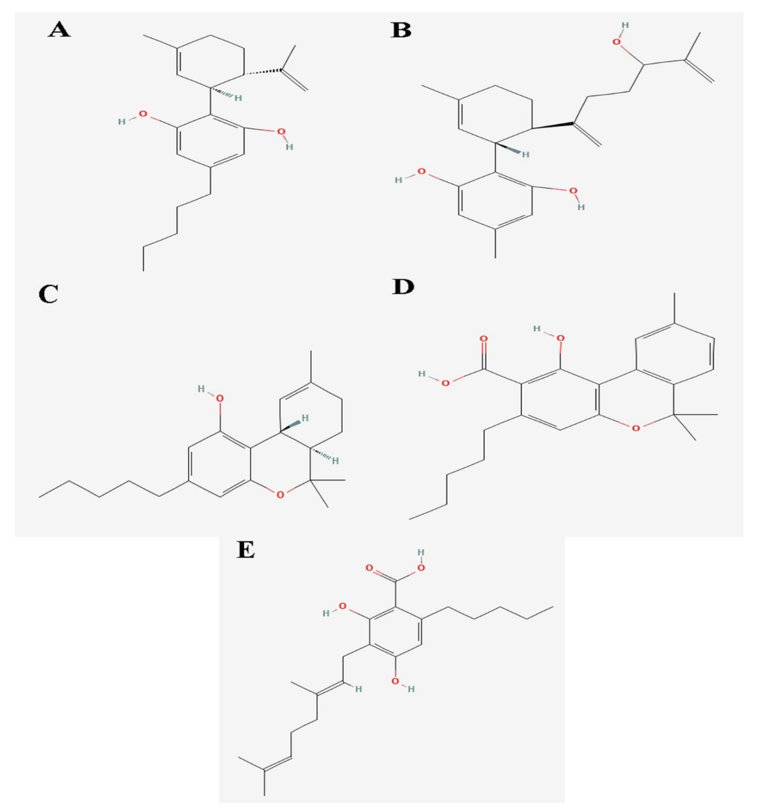 Biology 14 01272 g001