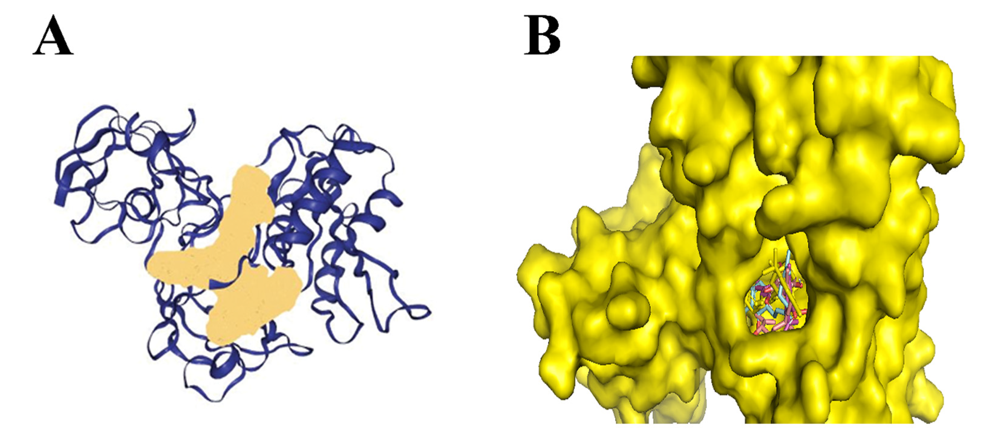 Biology 14 01272 g002