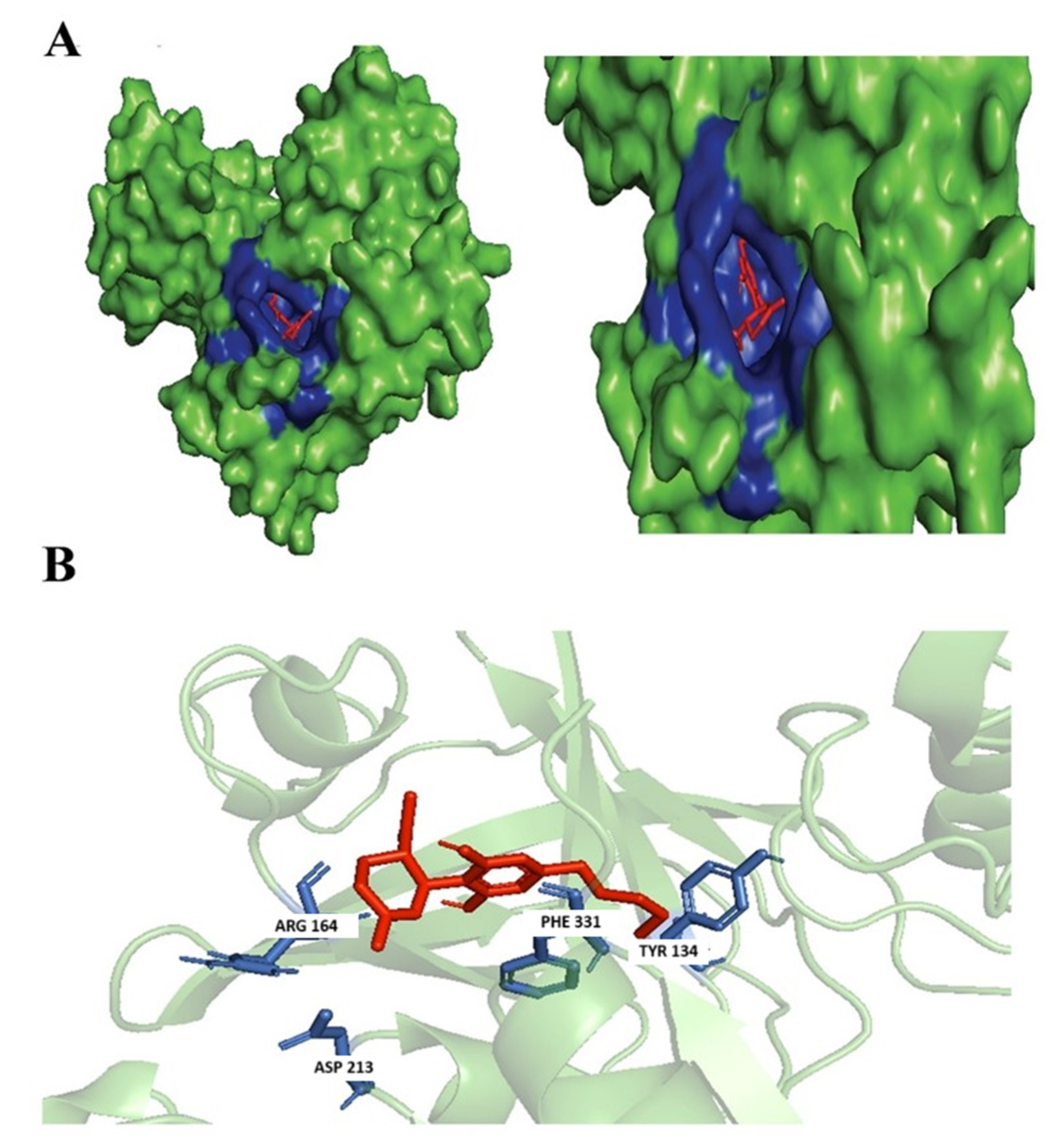 Biology 14 01272 g003