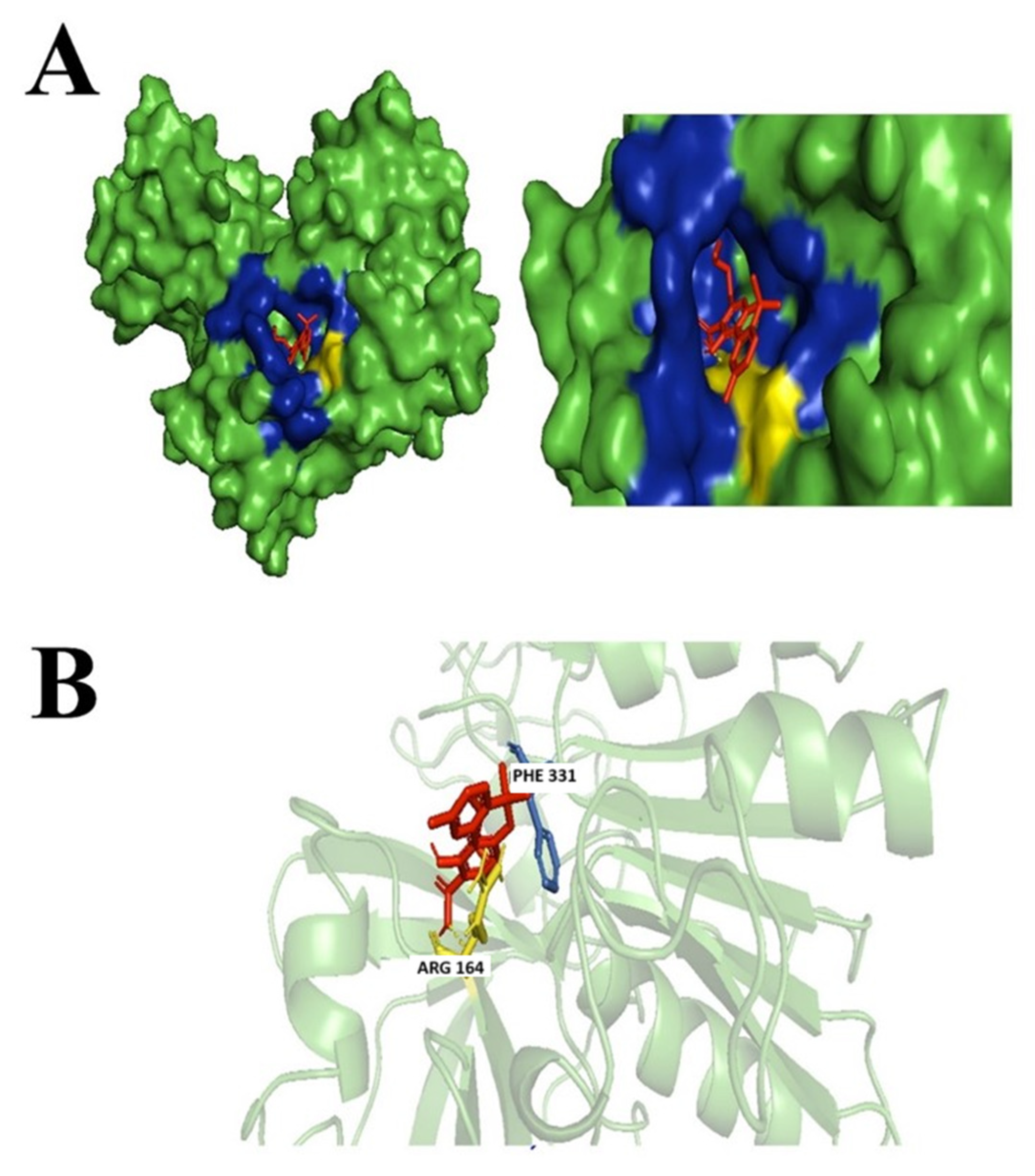 Biology 14 01272 g005