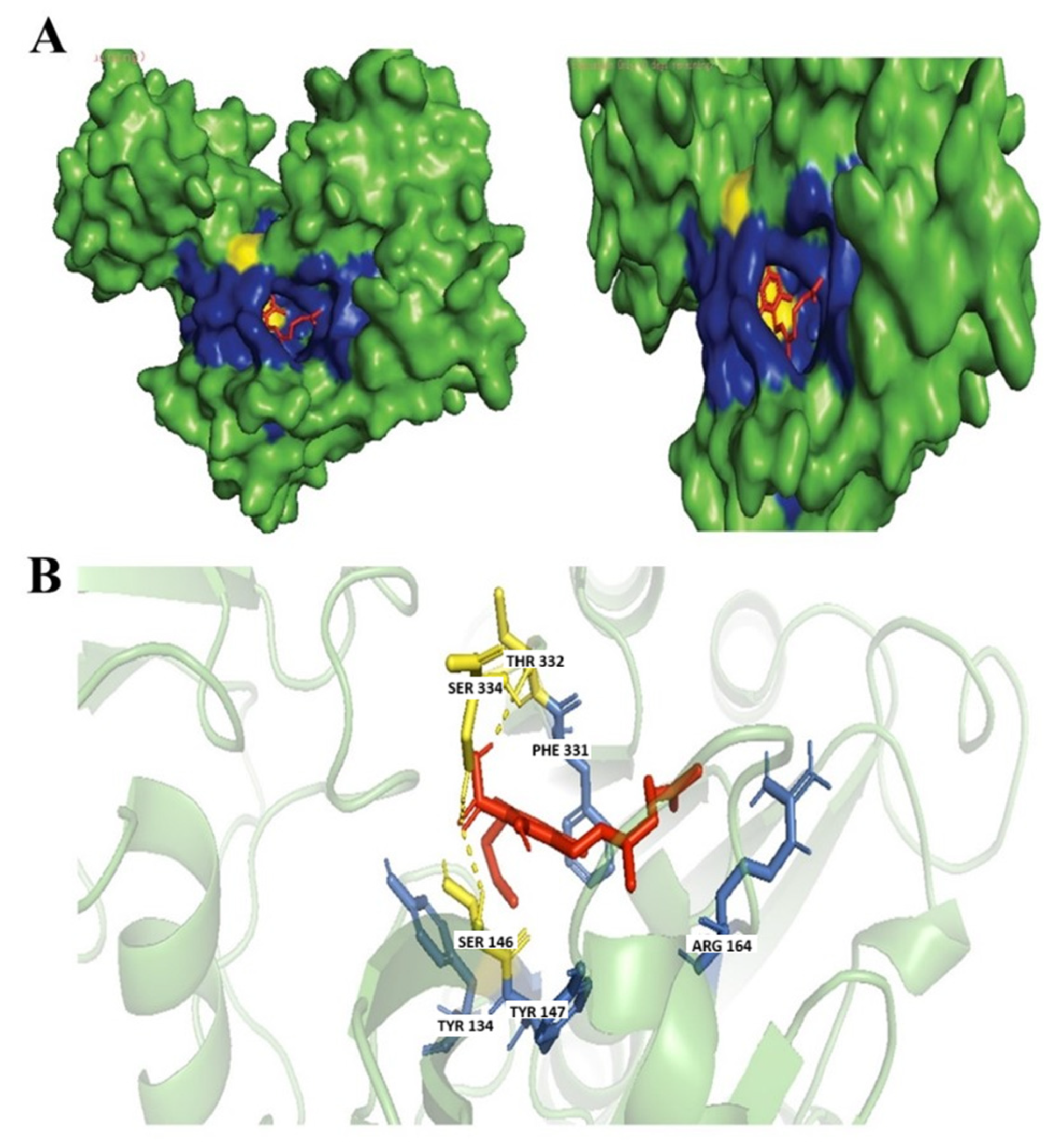 Biology 14 01272 g006