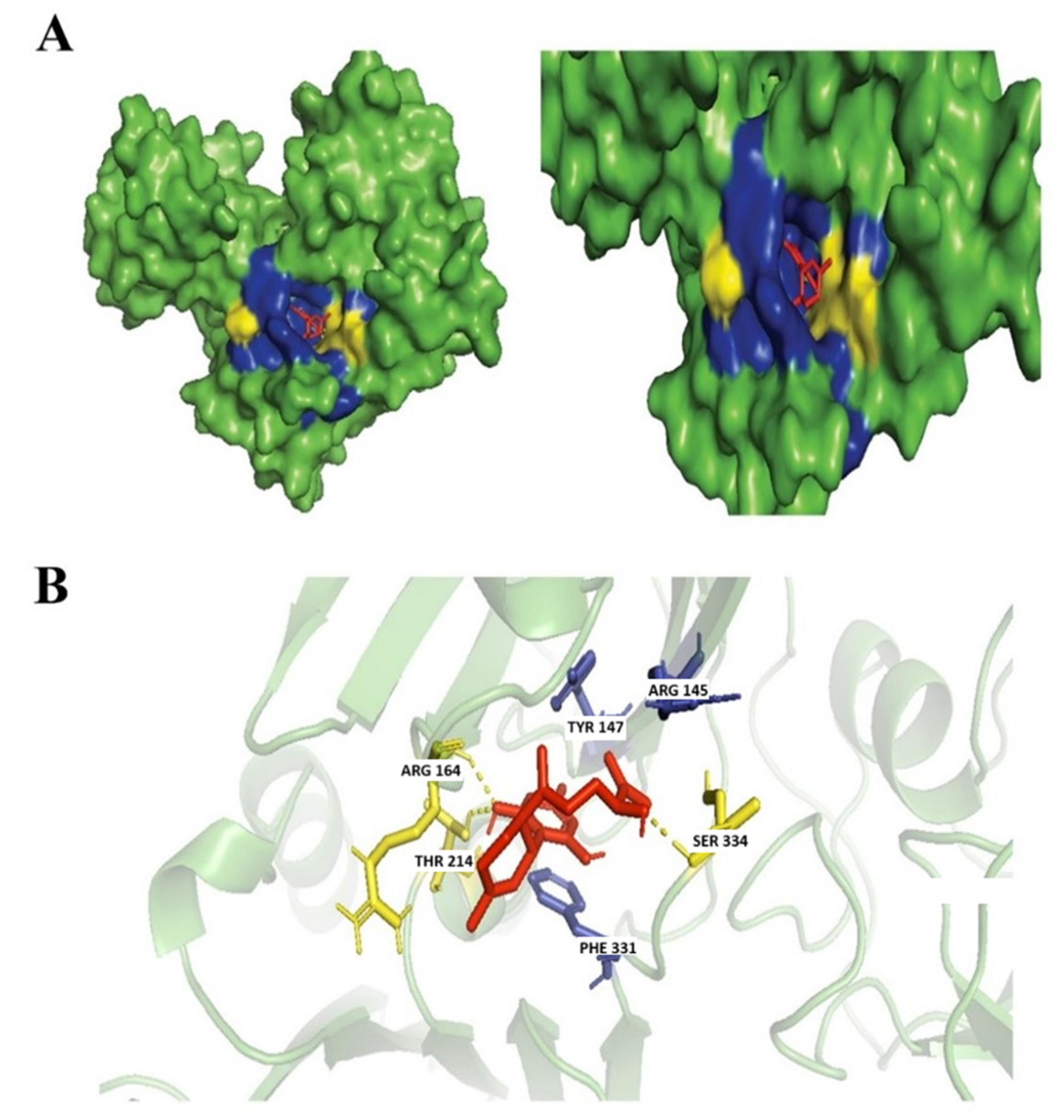Biology 14 01272 g007