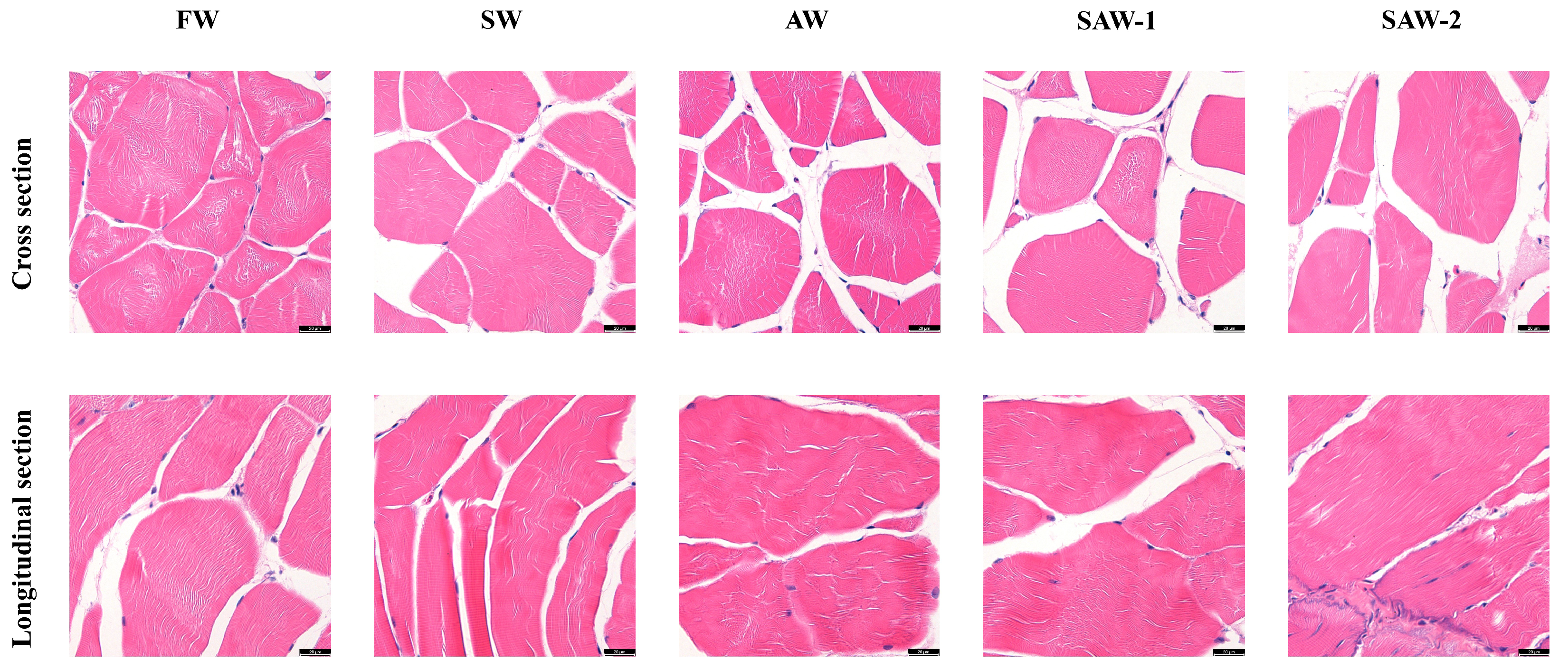 Biology 14 01274 g004