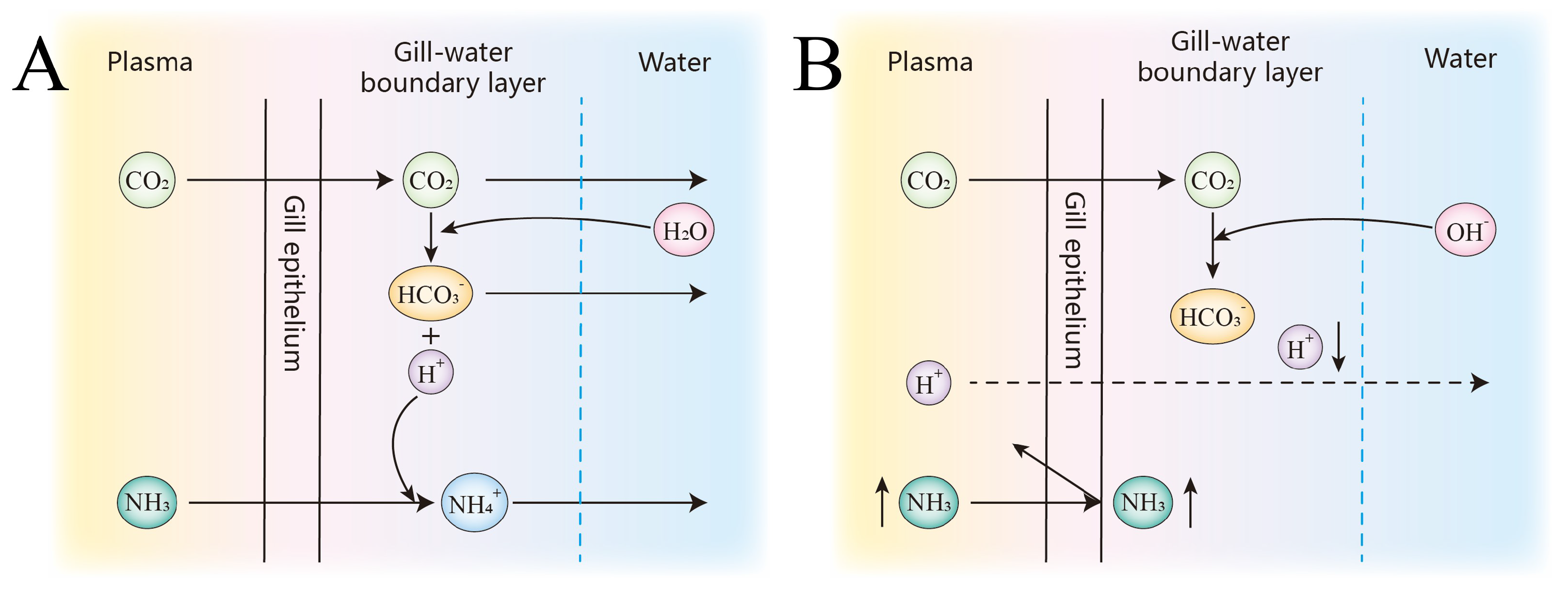 Biology 14 01274 g021