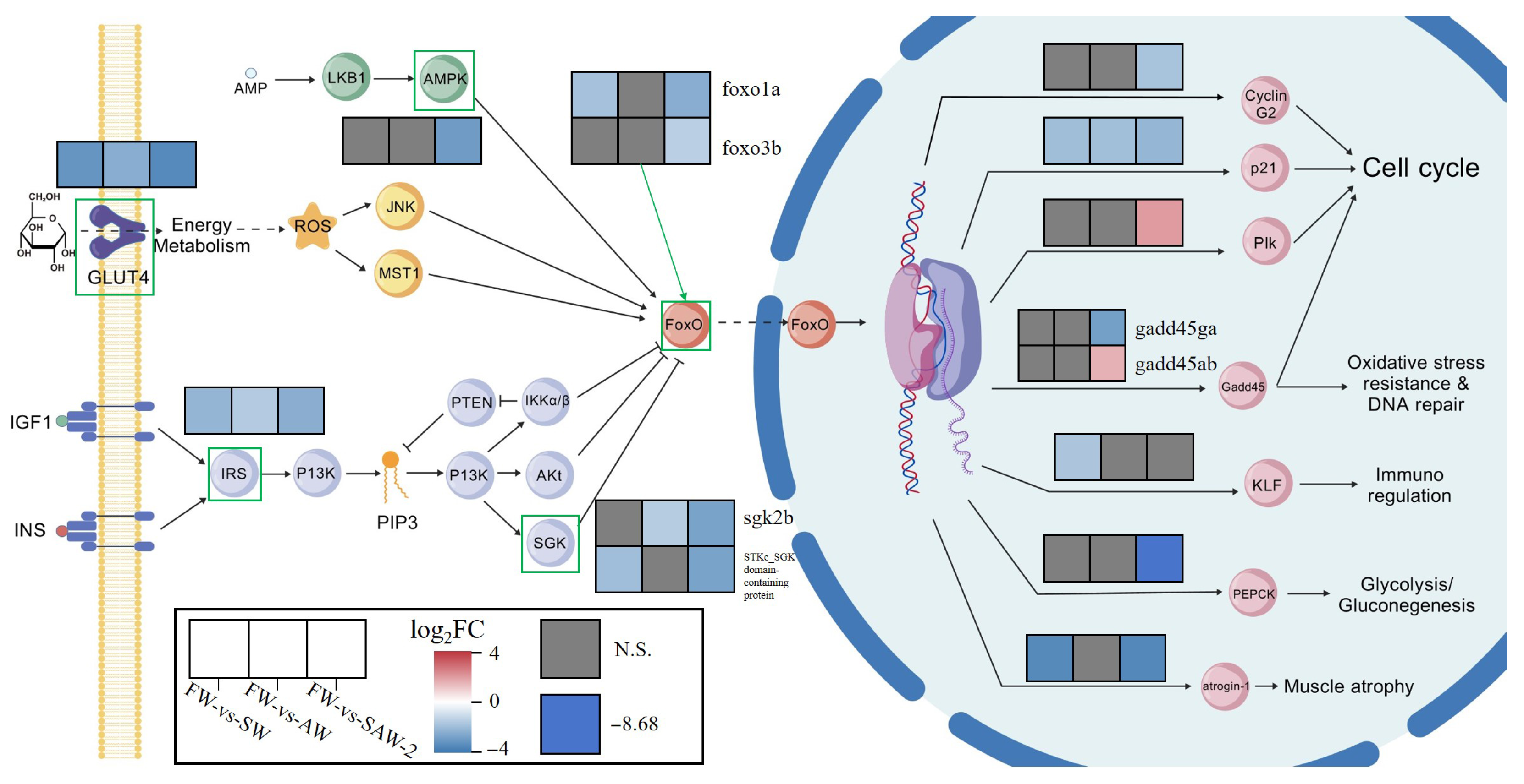 Biology 14 01274 g023