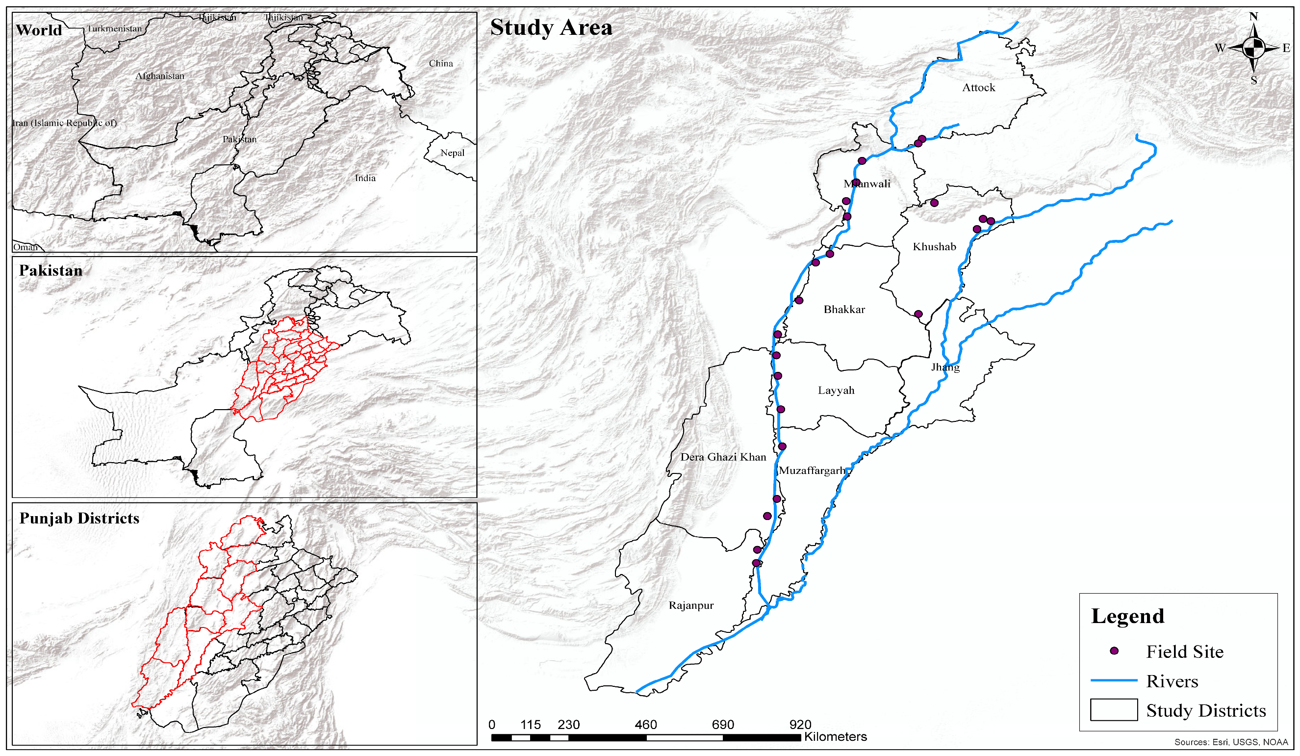 Biology 14 01275 g001 Biology 14 01275 g001