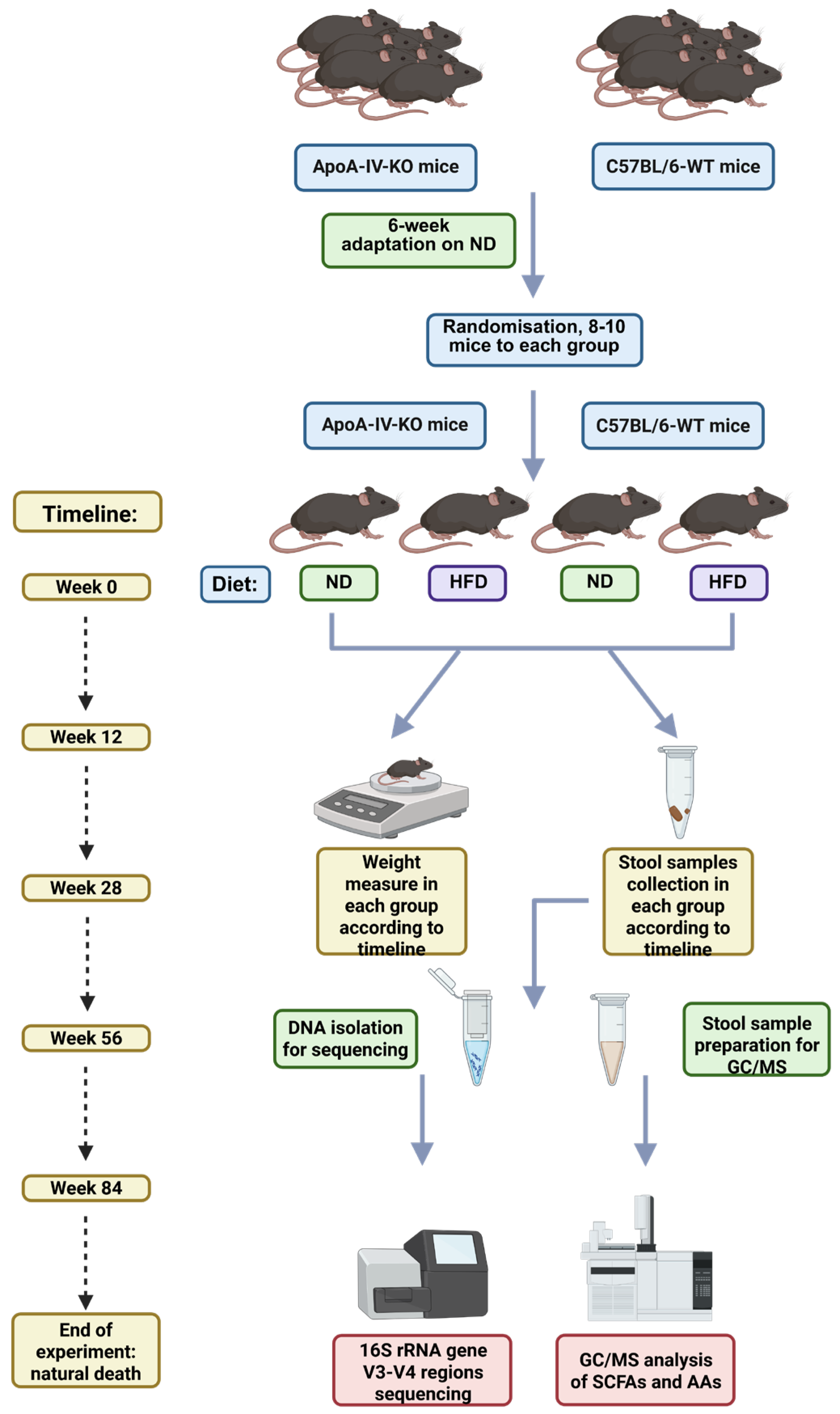 Biology 14 01278 g001 Biology 14 01278 g001