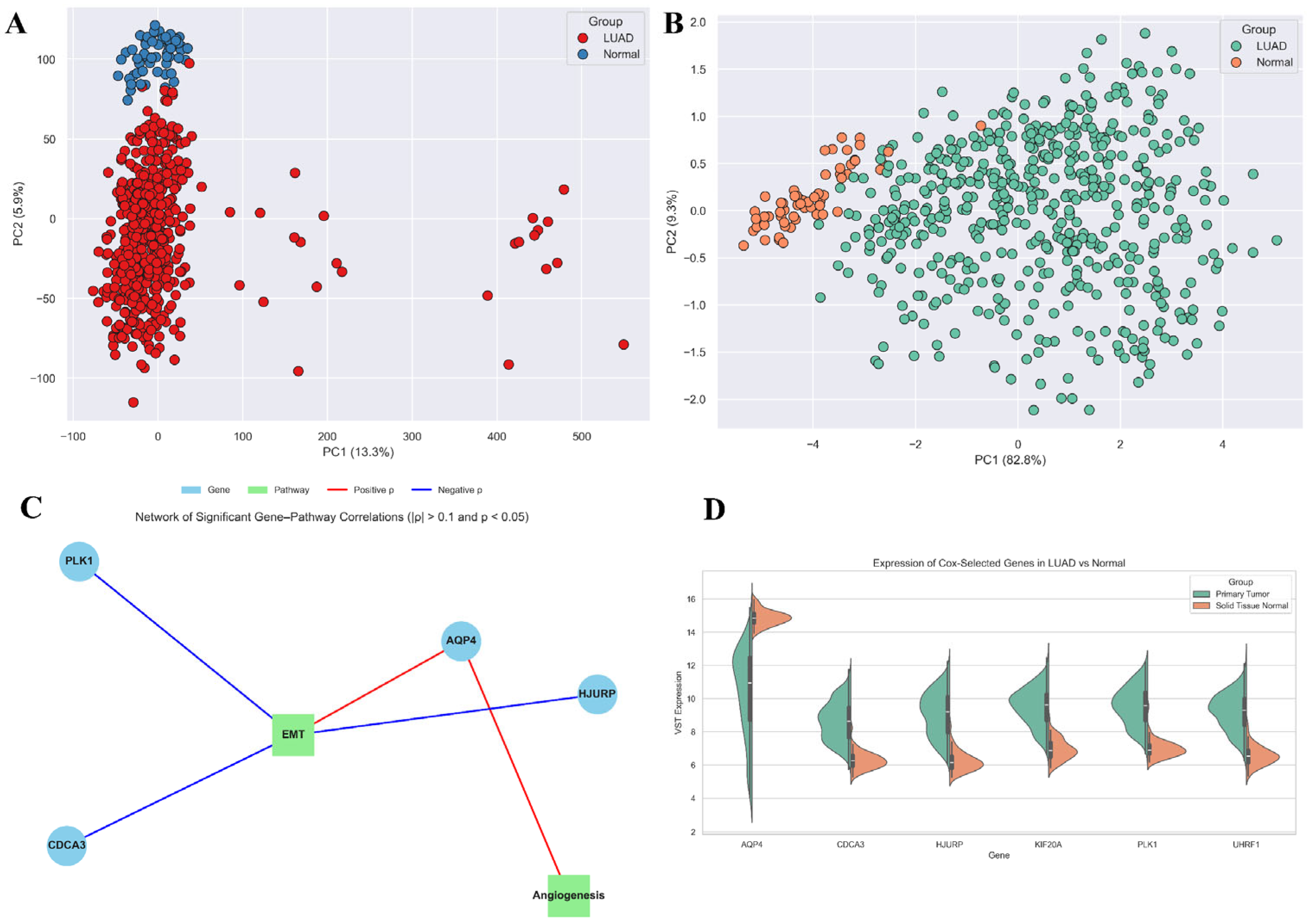 Biology 14 01280 g006