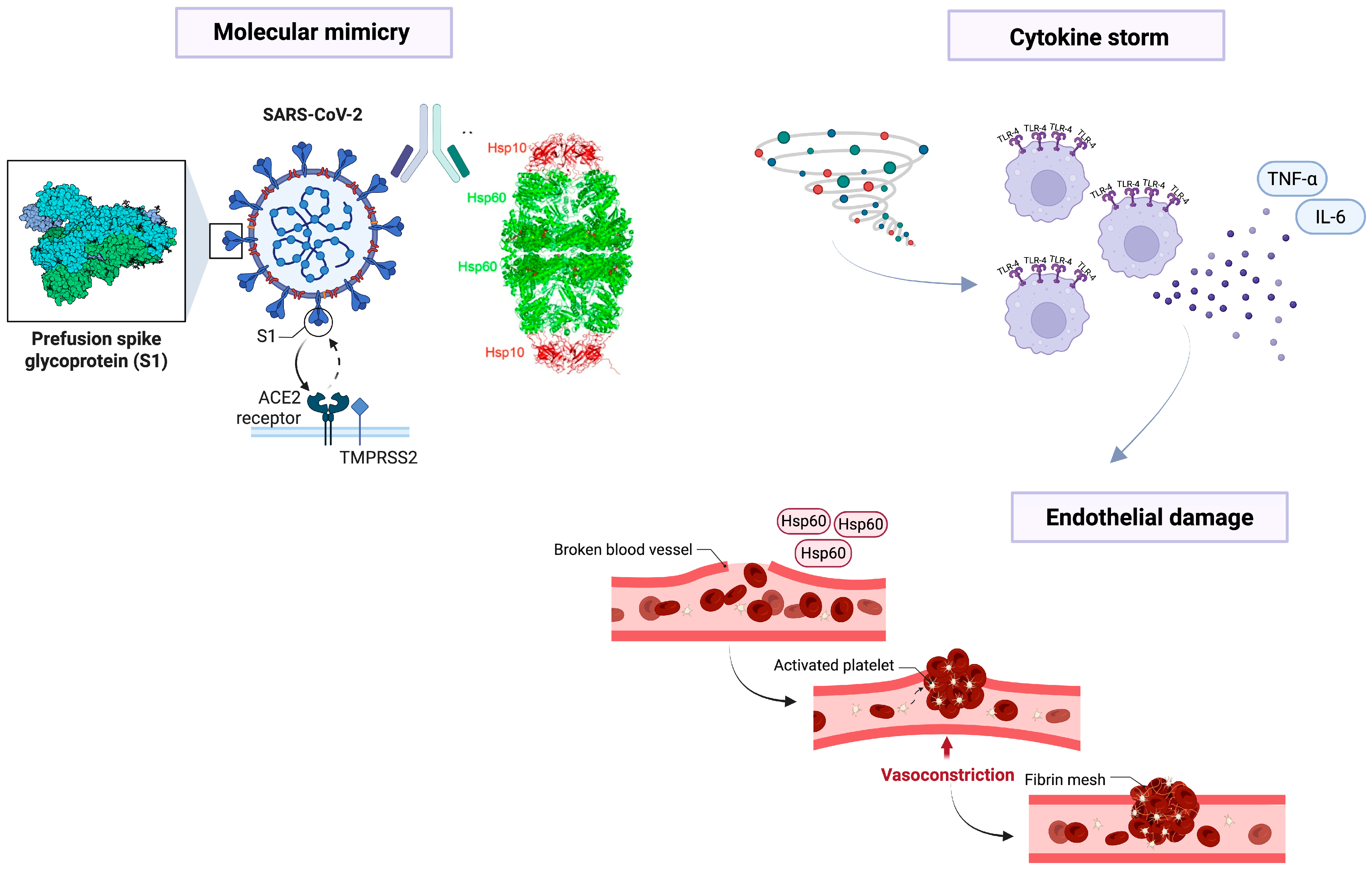 Biology 14 01281 g001 Biology 14 01281 g001