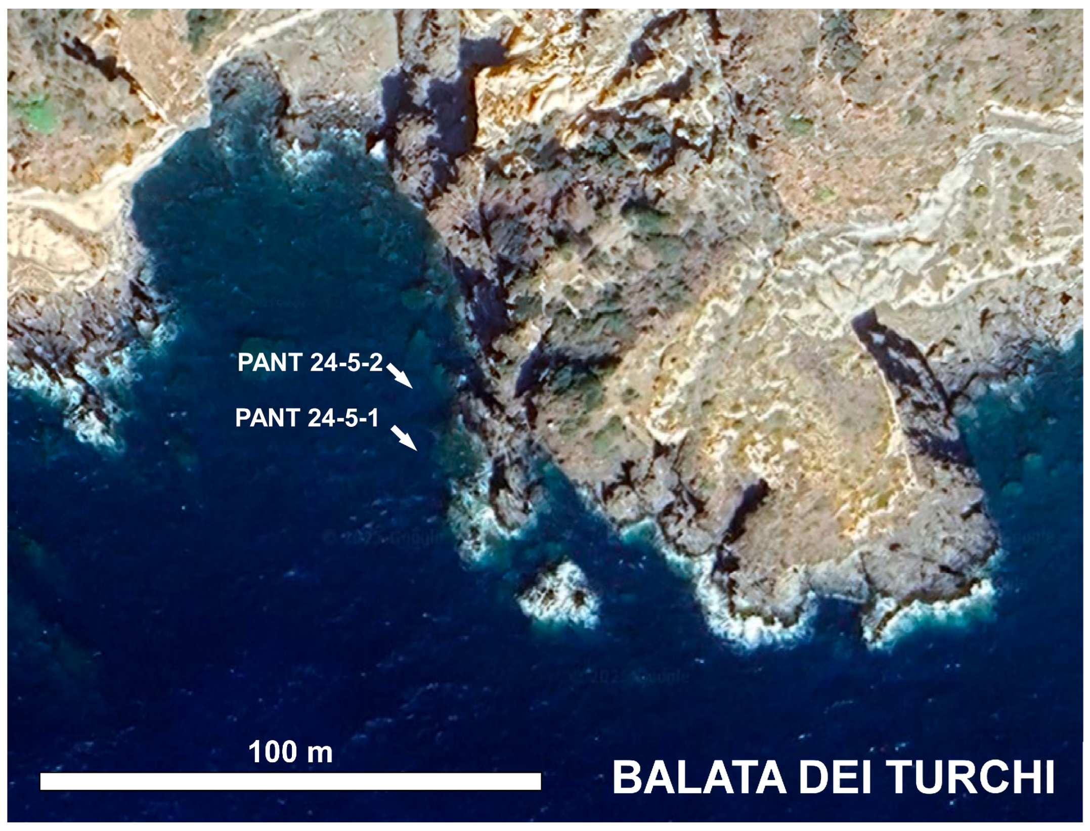 Biology 14 01282 g004 Biology 14 01282 g004