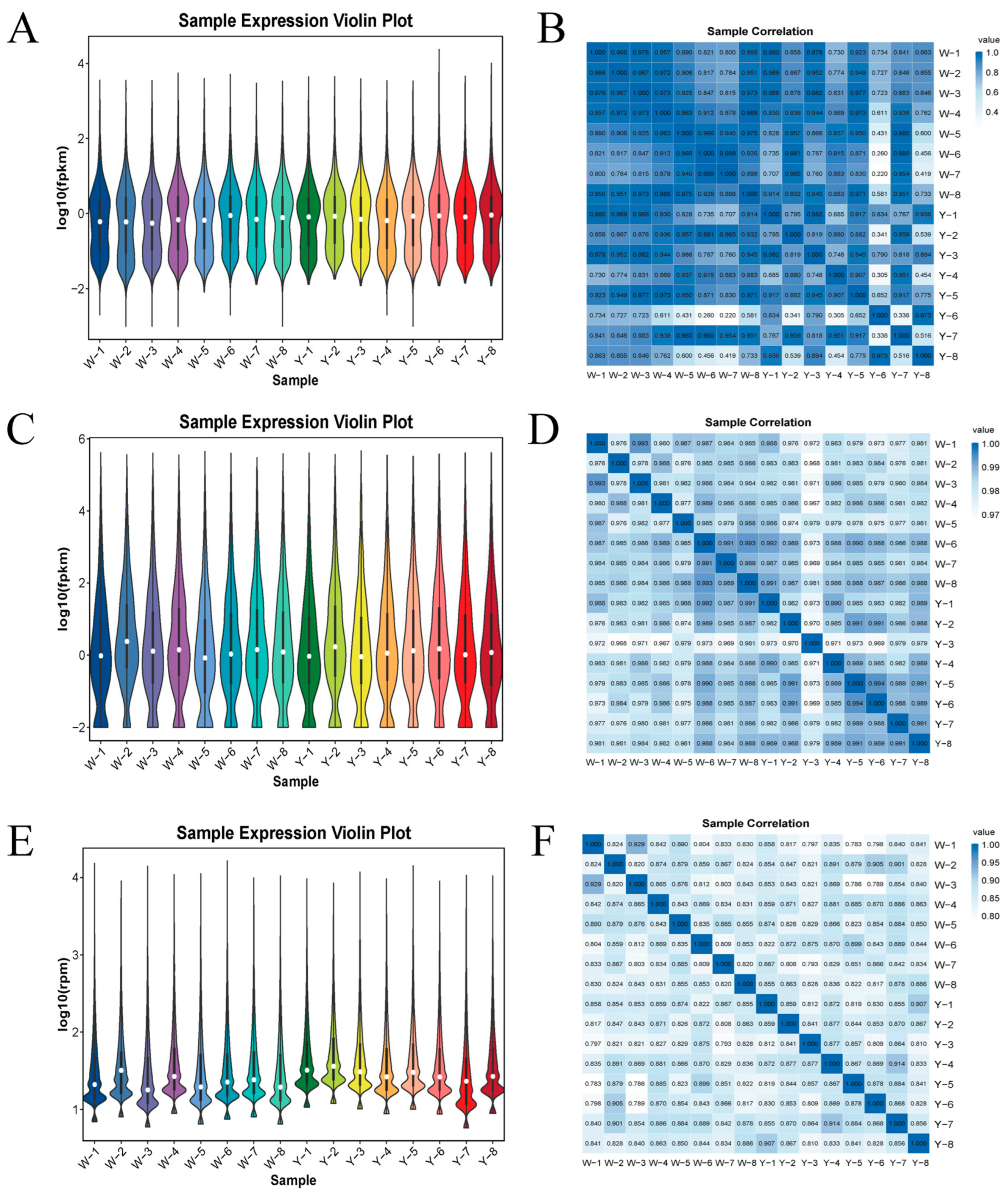 Biology 14 01285 g001 Biology 14 01285 g001