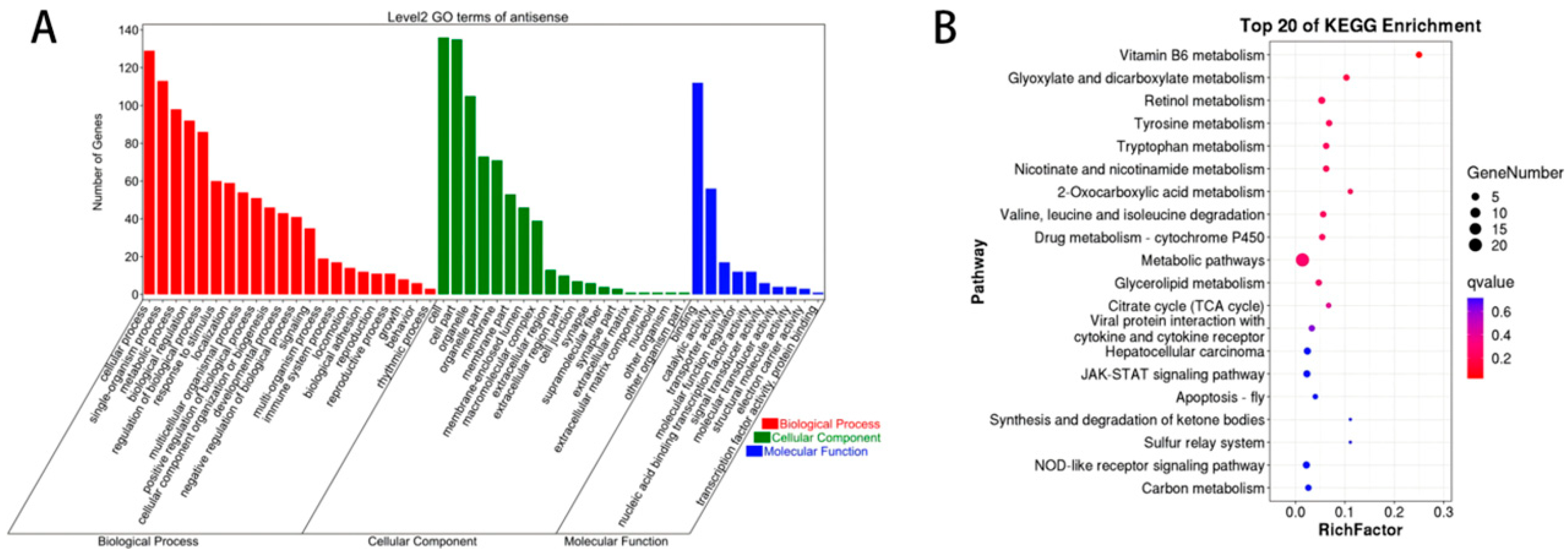 Biology 14 01285 g003 Biology 14 01285 g003