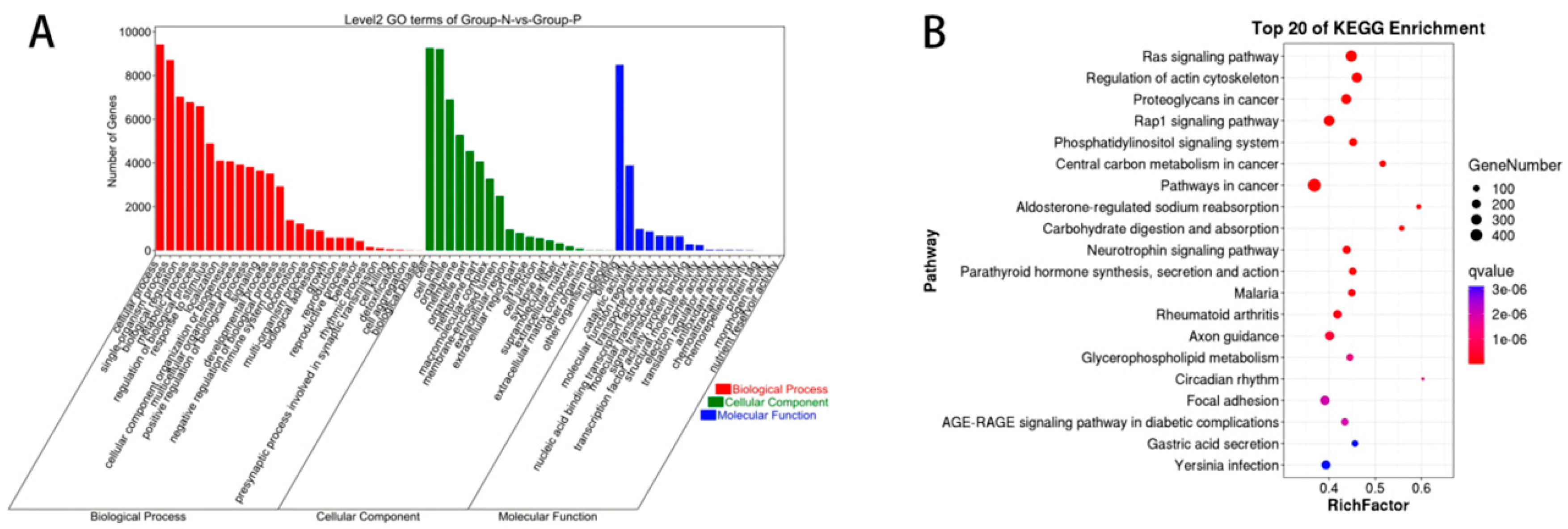 Biology 14 01285 g004 Biology 14 01285 g004