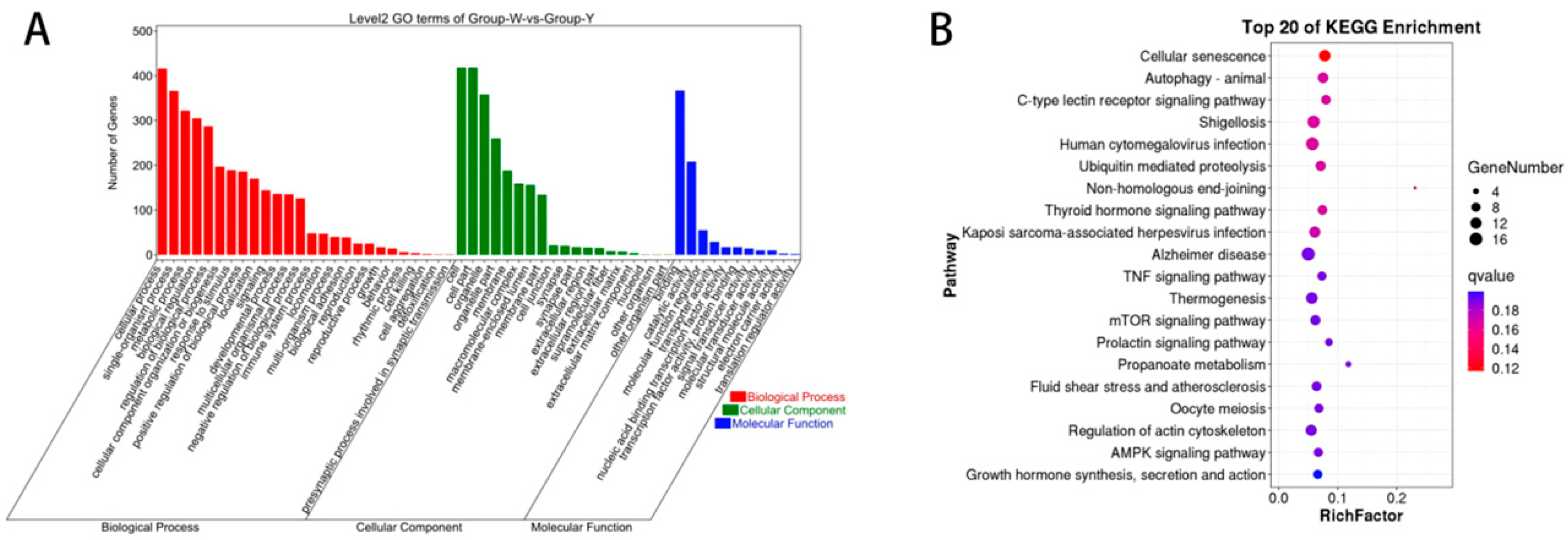 Biology 14 01285 g005 Biology 14 01285 g005