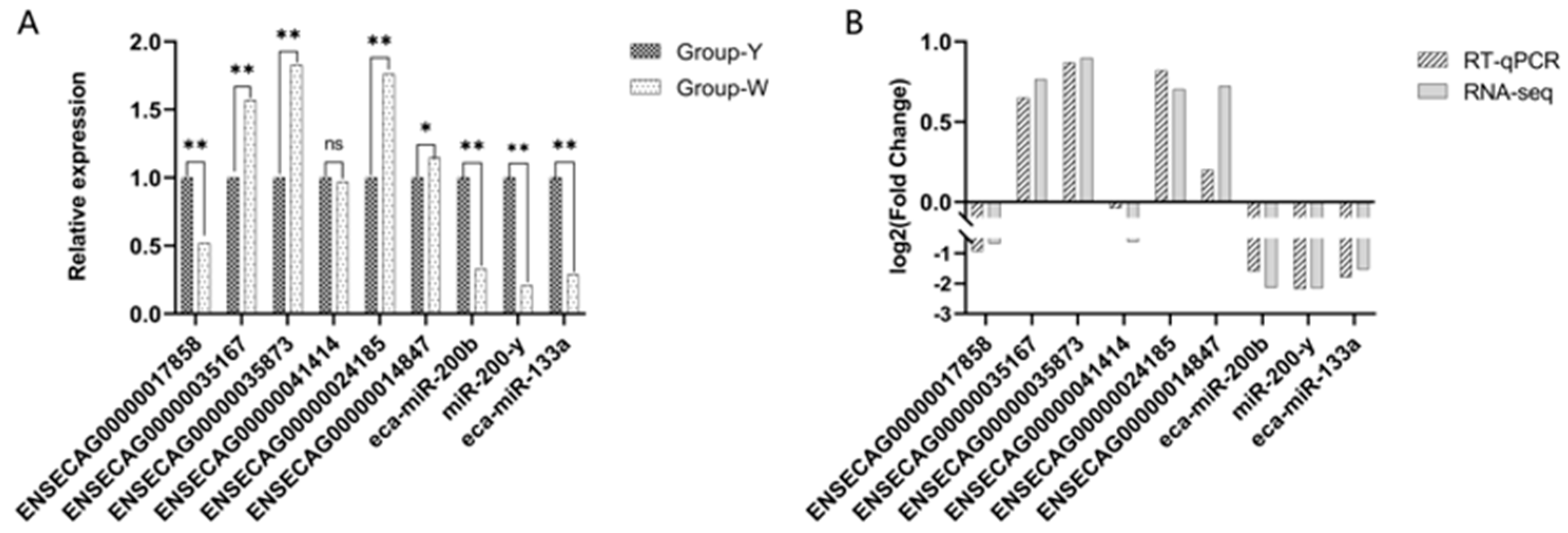 Biology 14 01285 g008 Biology 14 01285 g008