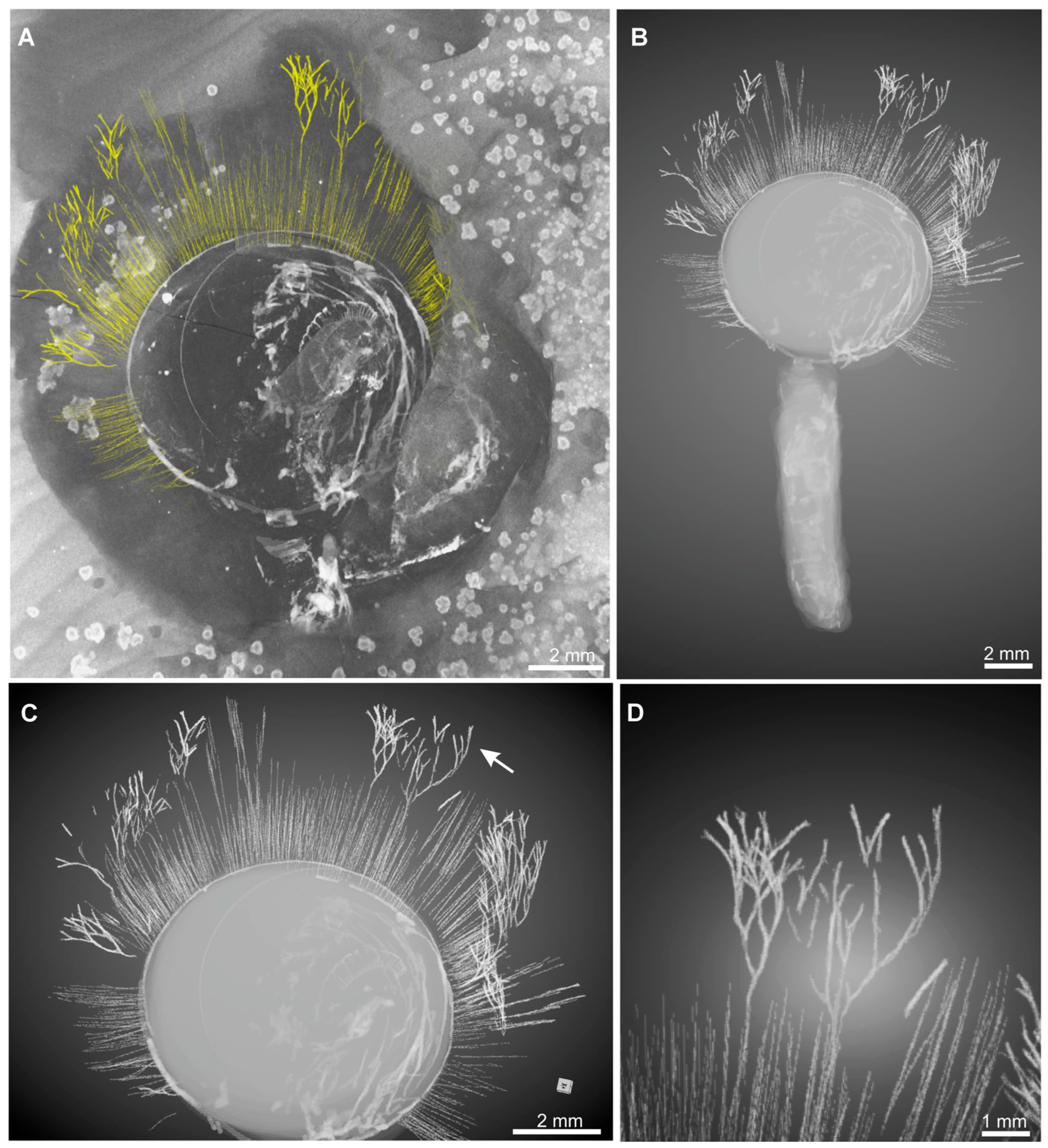 Biology 14 01287 g002