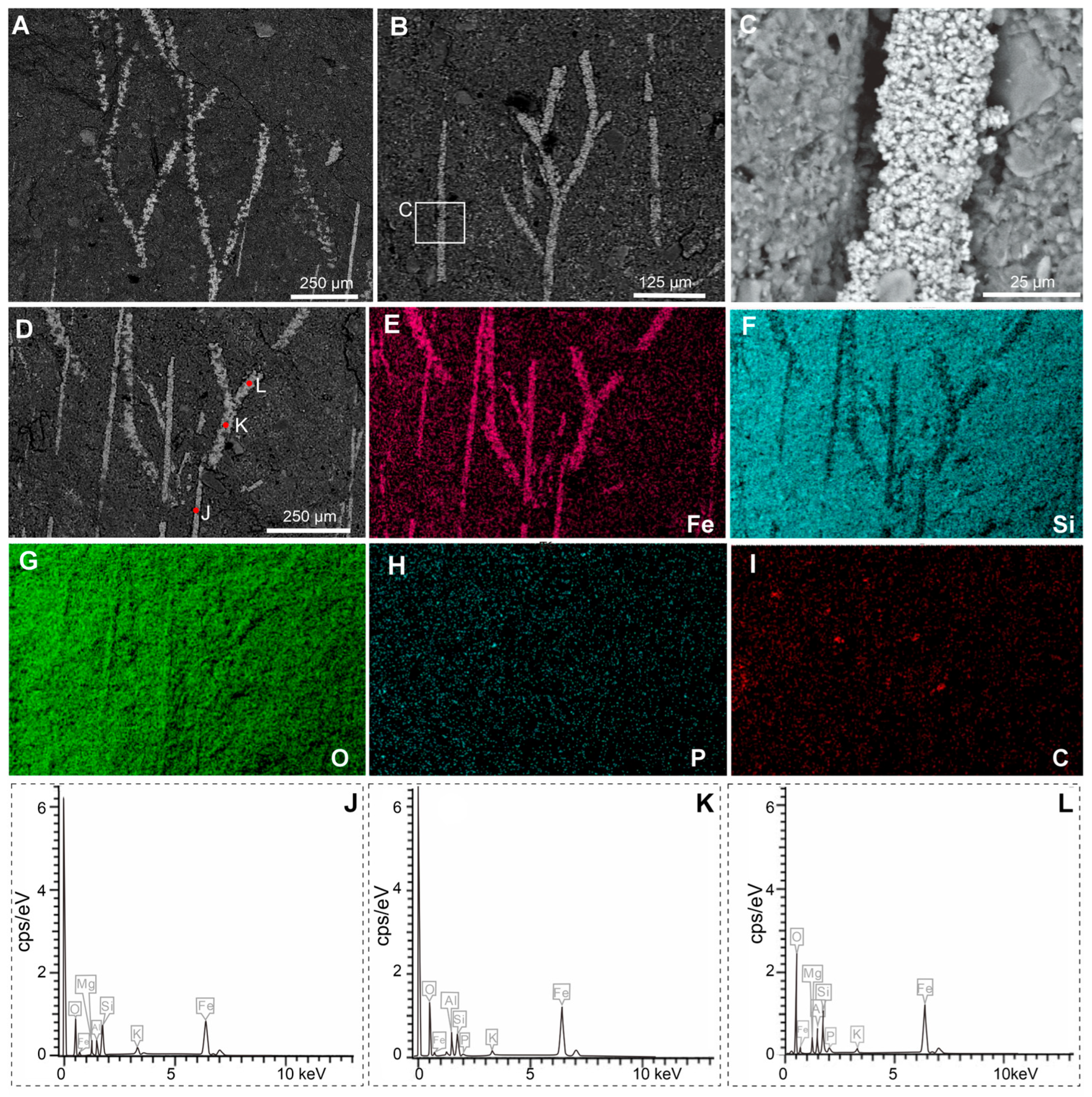 Biology 14 01287 g004